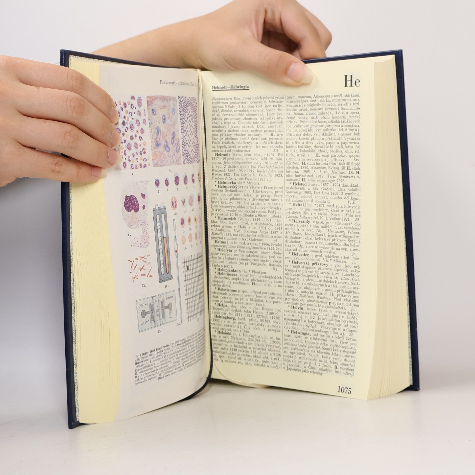 Various authors Ottův slovník naučný Dodatky II. 2 Gao - Isk