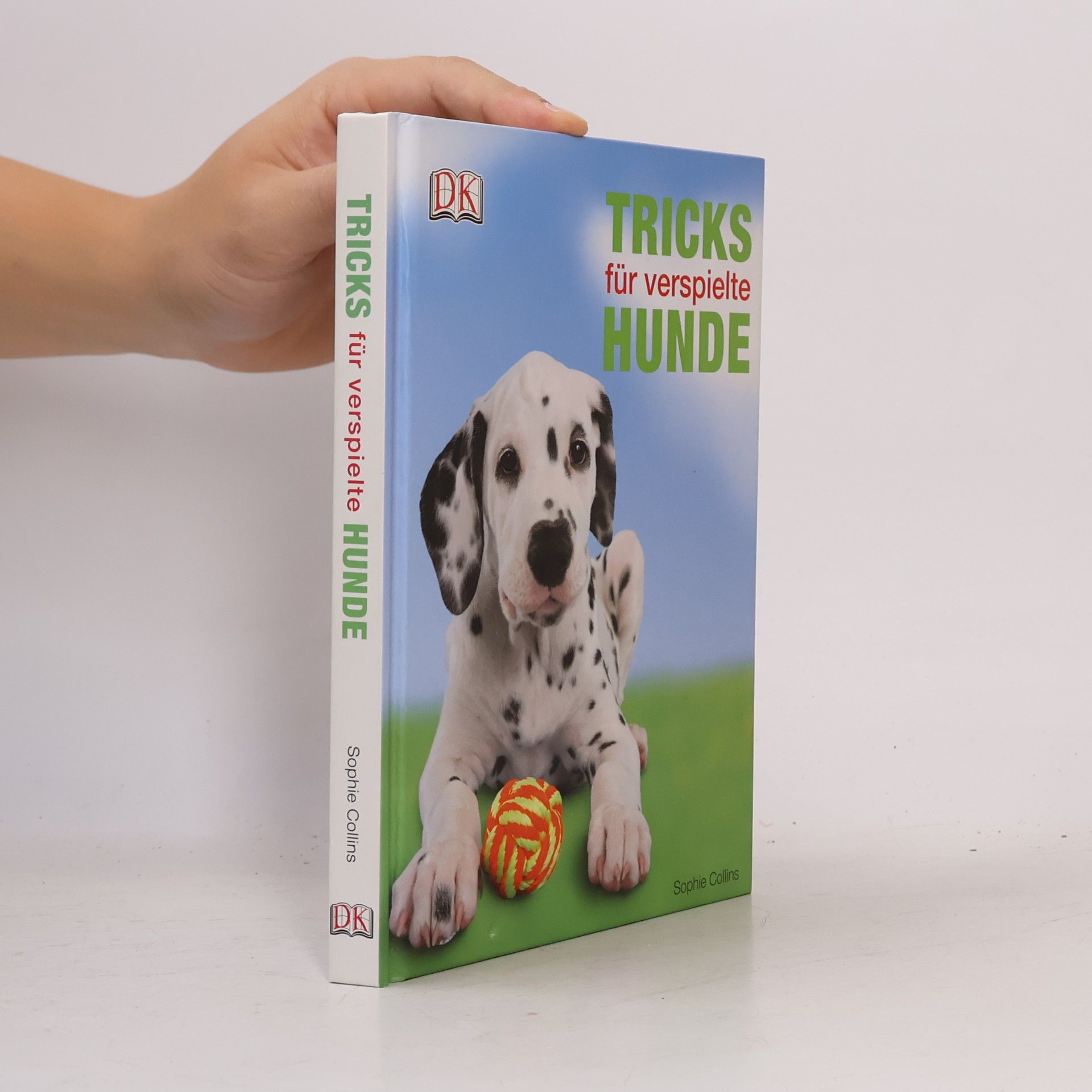 Tricks für verspielte Hunde