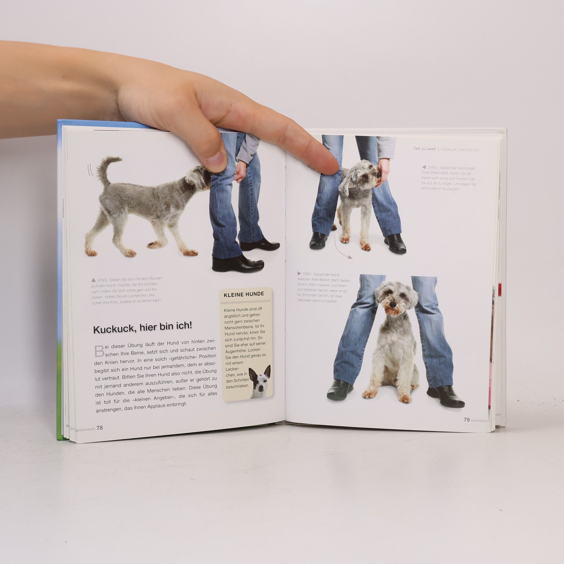 Sophie Collins Tricks für verspielte Hunde