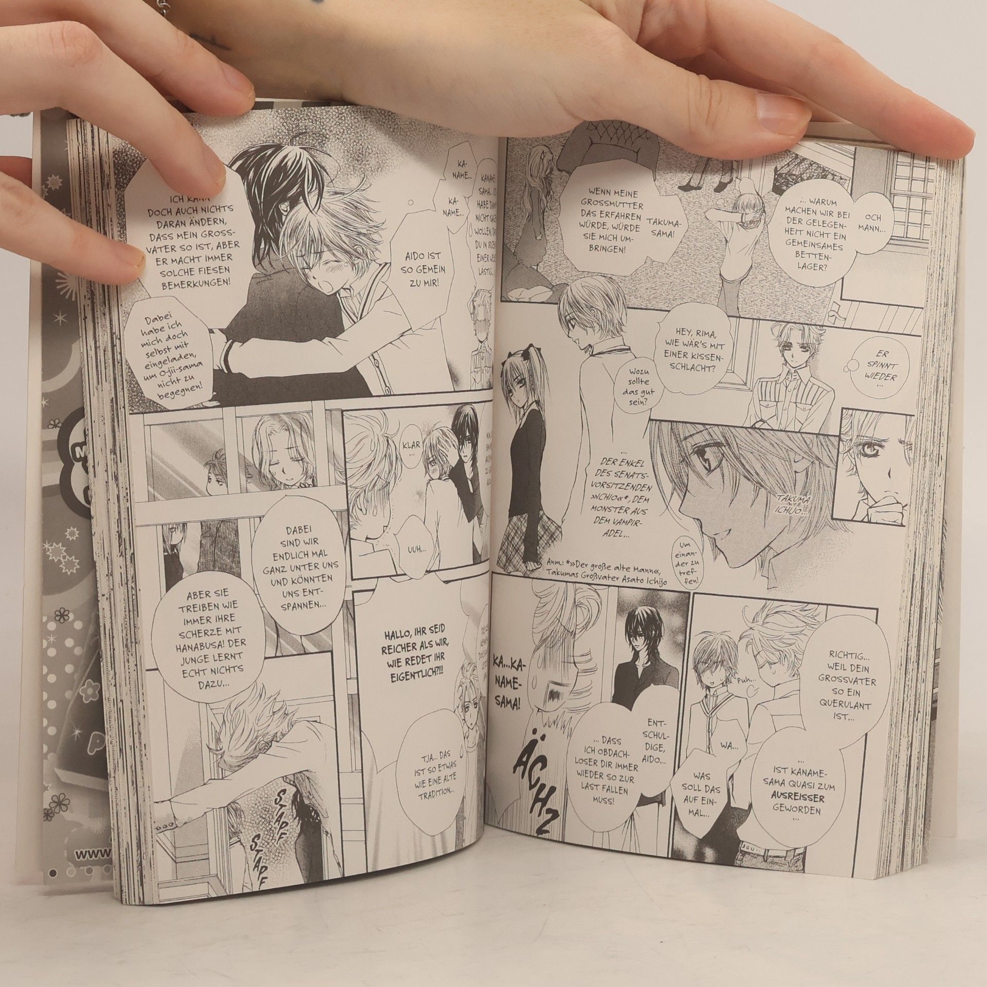 Matsuri Hino Vampire Knight 6