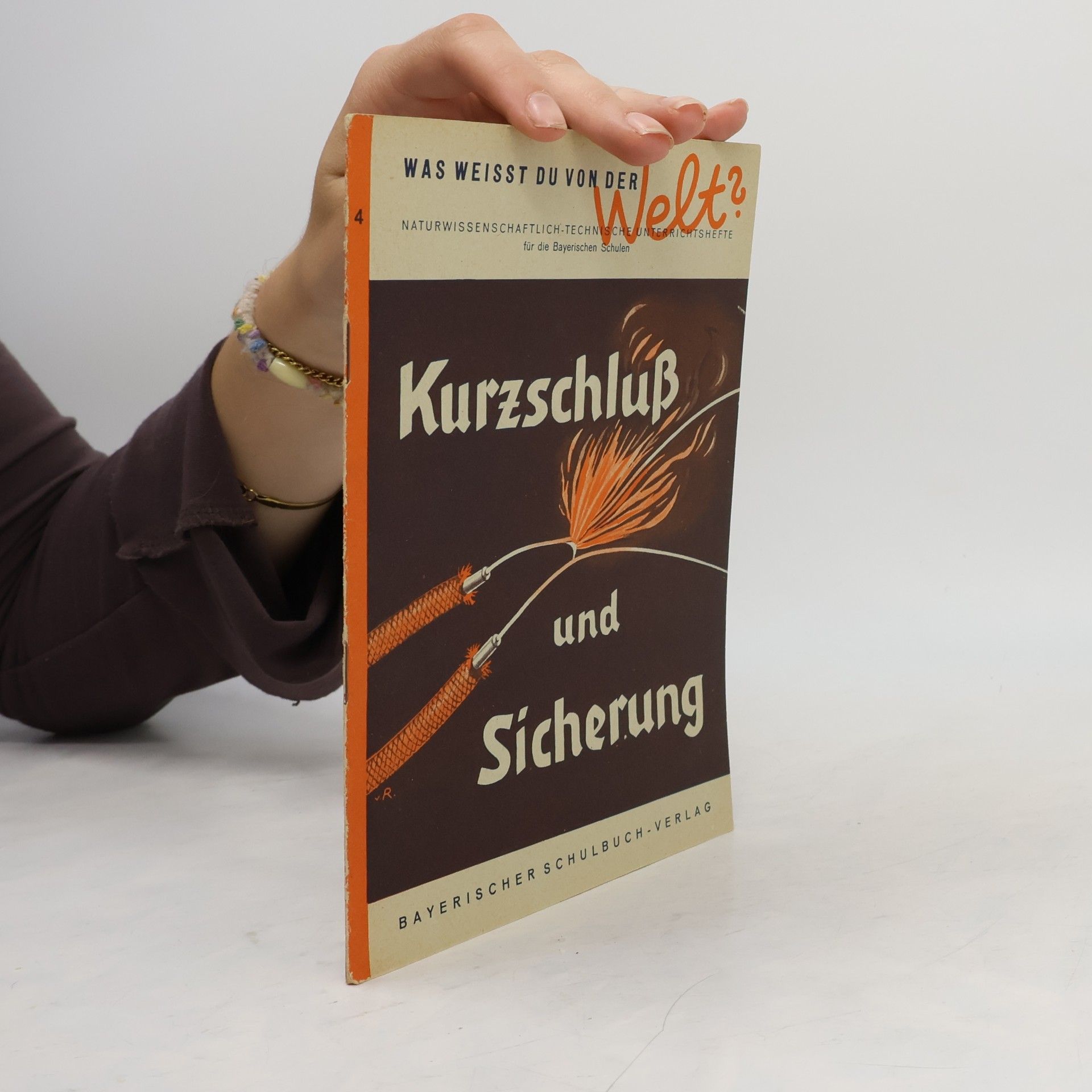 Autorenkollektiv Kurzschluß und Sicherung