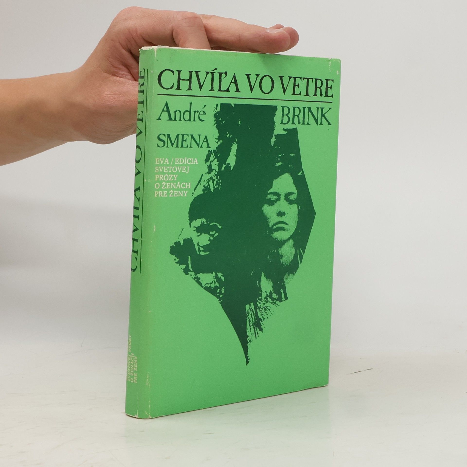 Chvíľa vo vetre