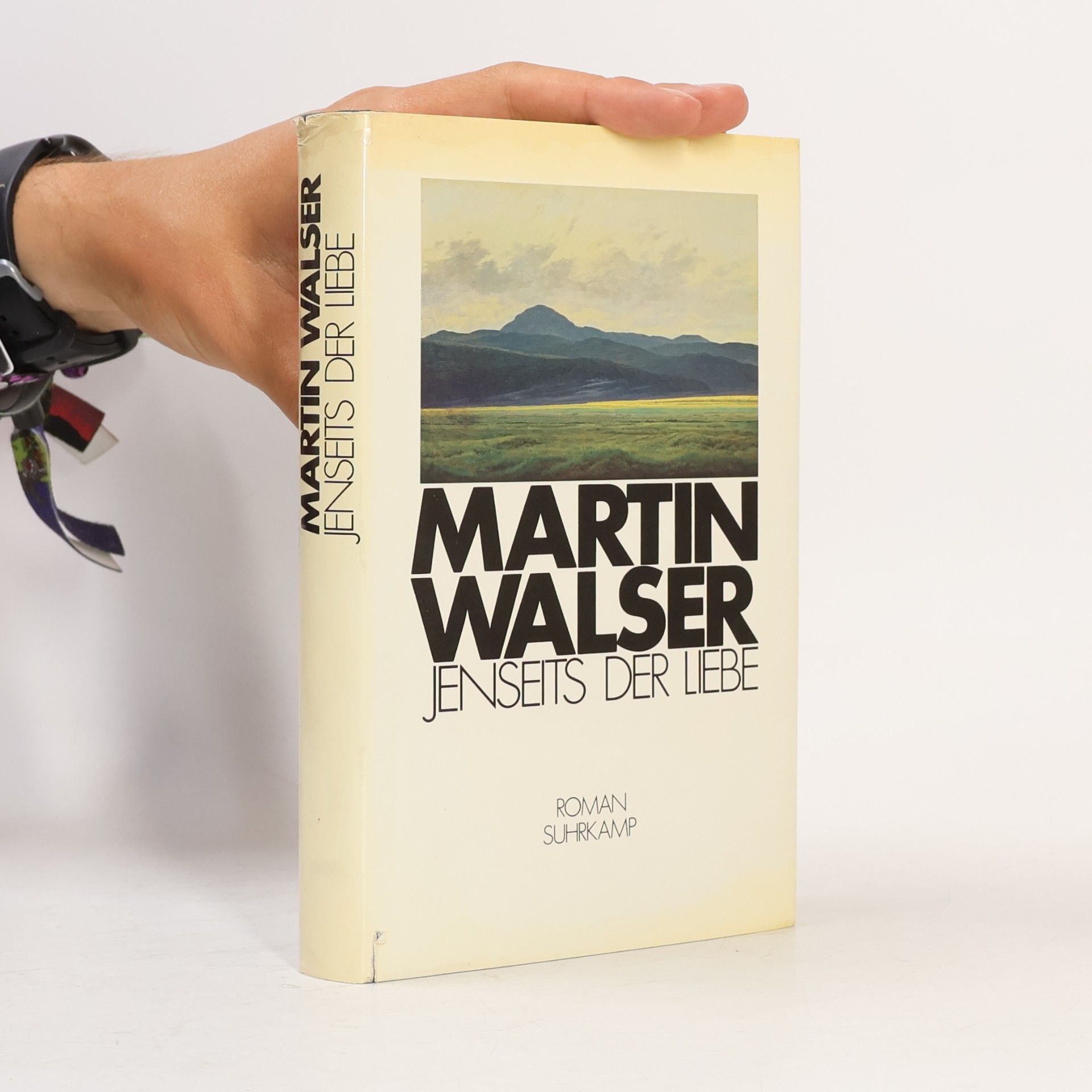 Martin Walser Jenseits der Liebe