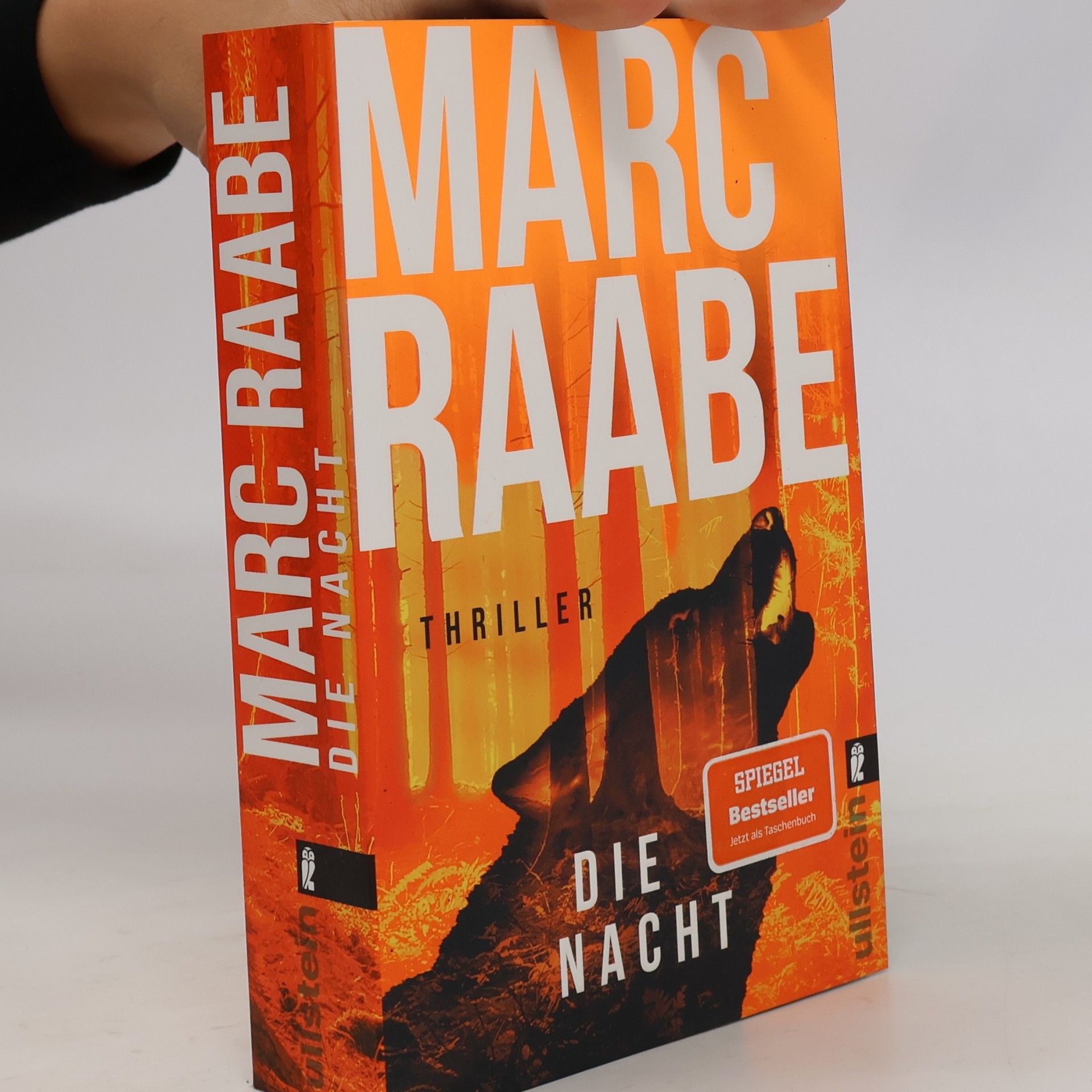Marc Raabe Art Mayer-Serie - 3: Die Nacht