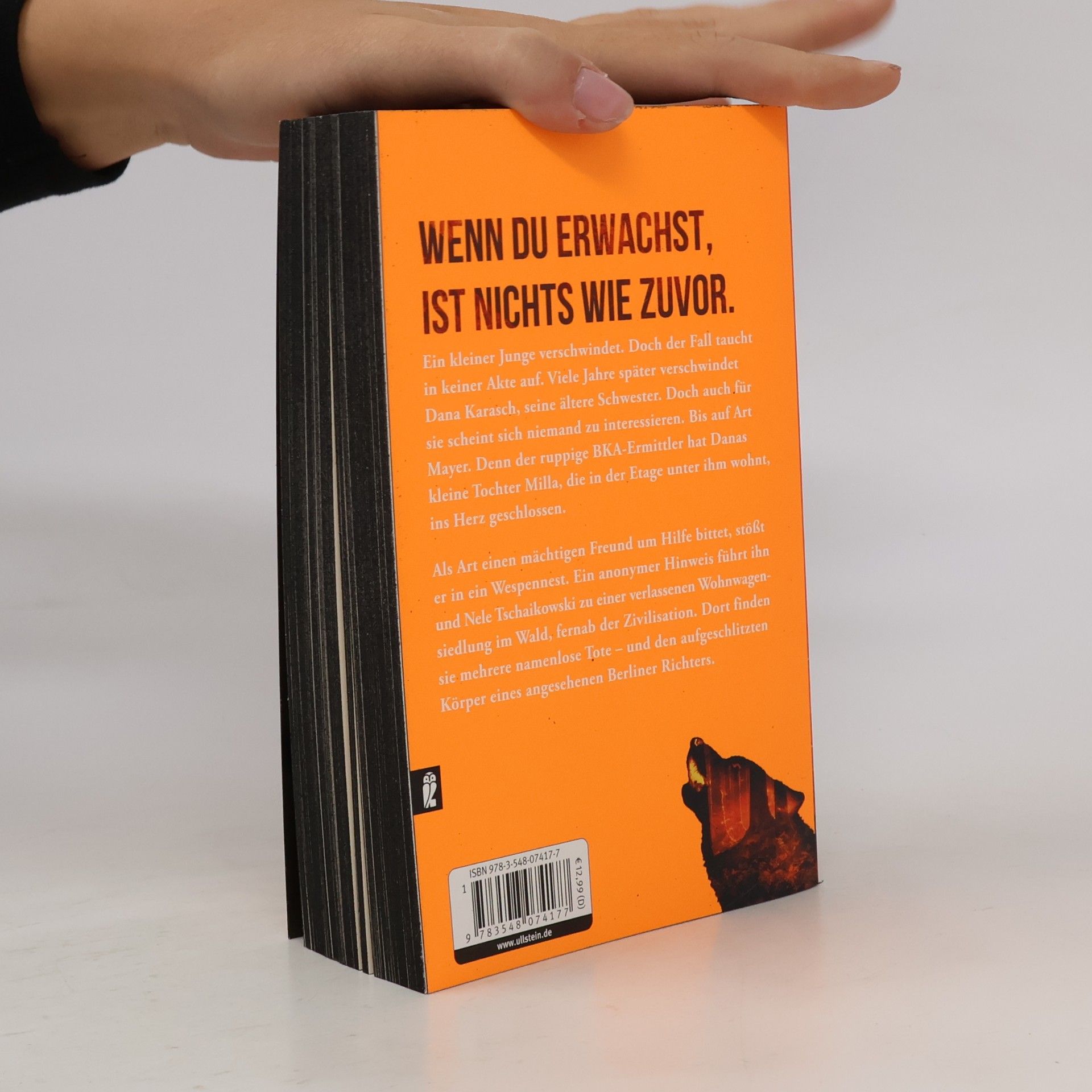 Marc Raabe Art Mayer-Serie - 3: Die Nacht