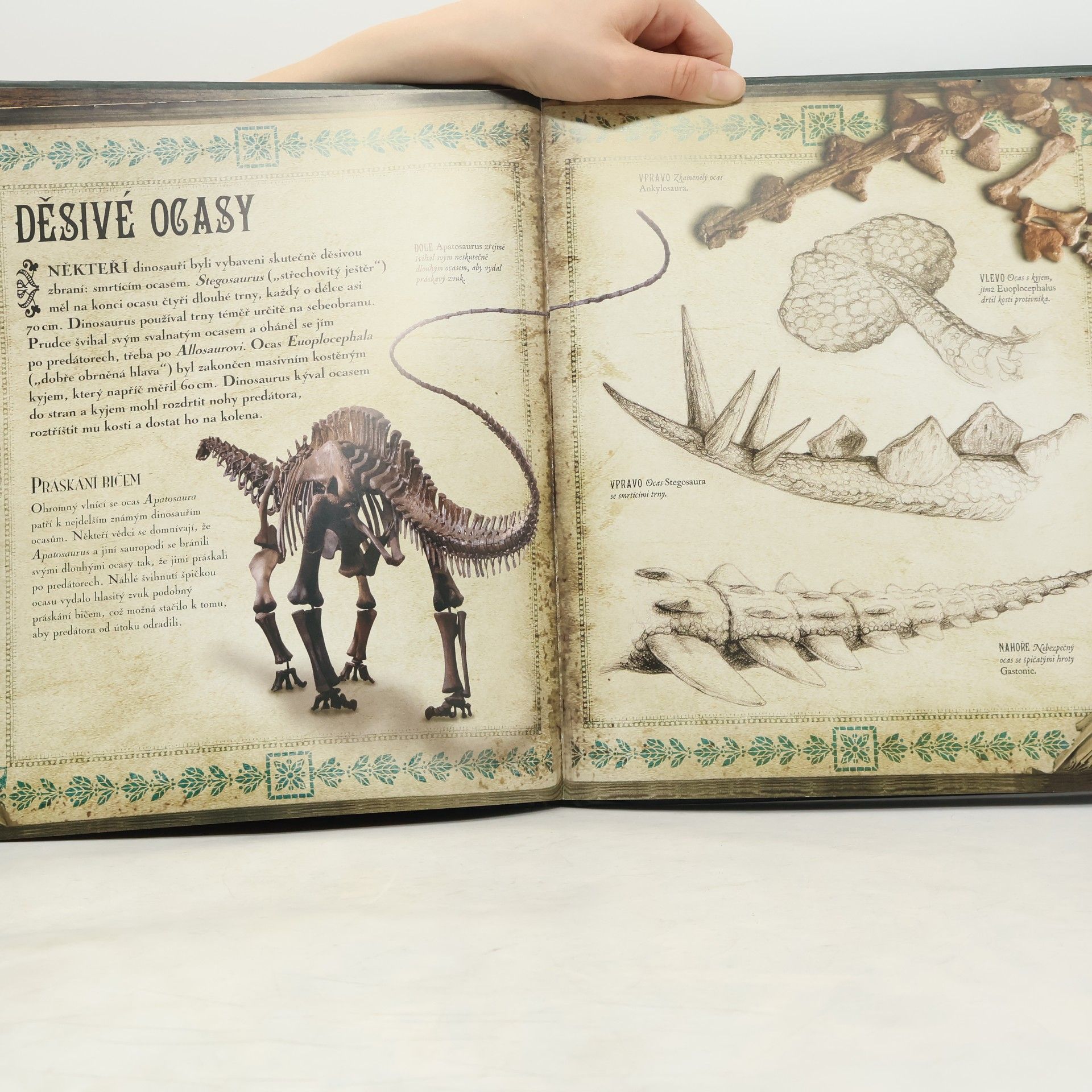Archie Blackwell Svět dinosaurů
