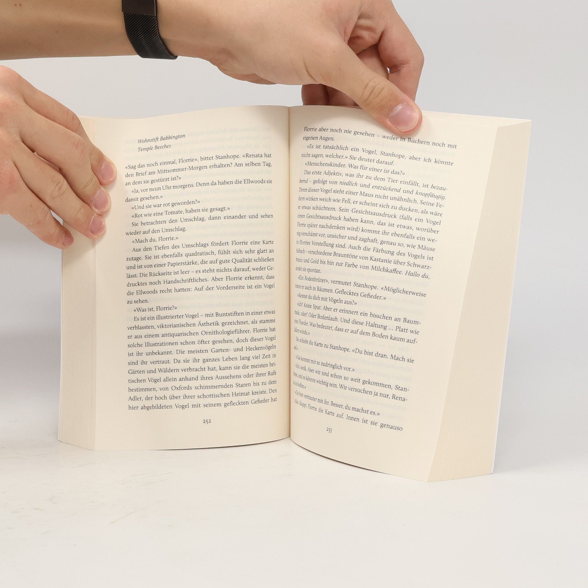 Susan Fletcher Die brillante Florence Butterfield: Eine unvergessliche Heldin, ein Buch wie eine Umarmung