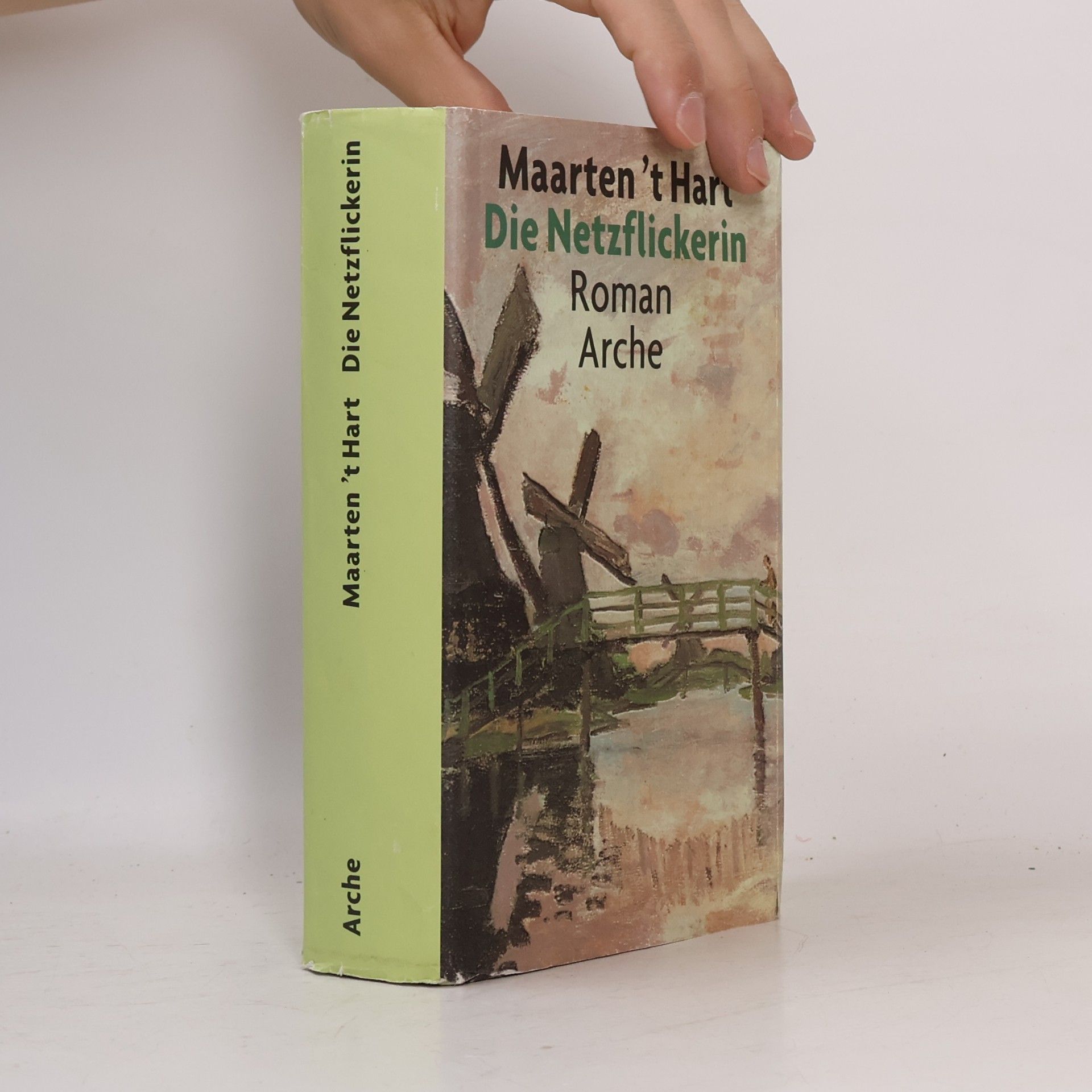 Maarten 't Hart Die Netzflickerin