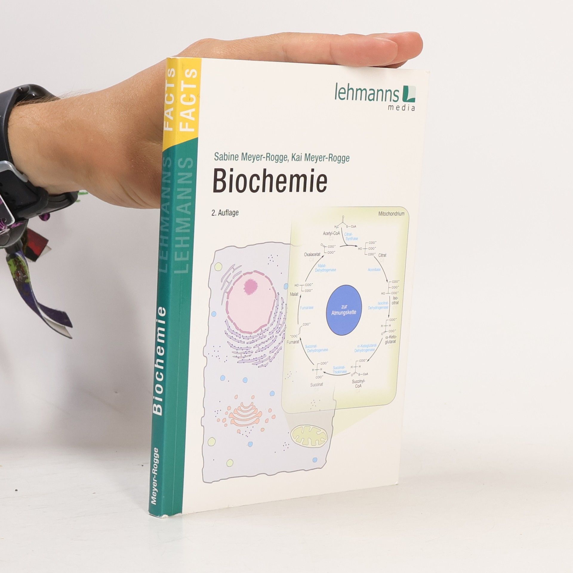 Sabine Meyer-Rogge Lehmanns FACTs!: Biochemie - 2. Auflage