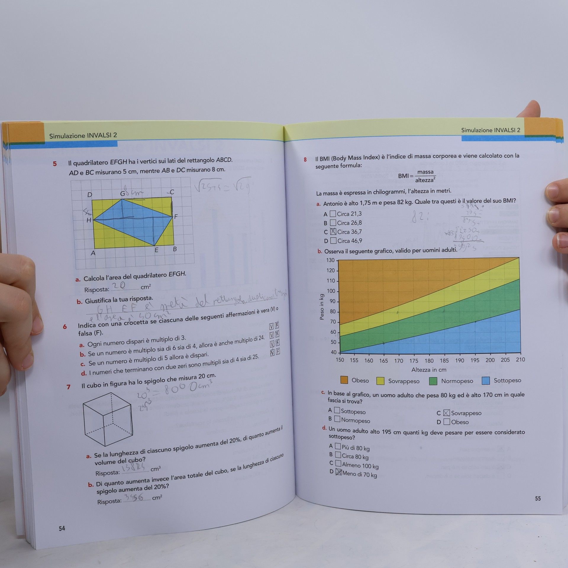 Laura Birghi INVALSI insieme. Prove INVALSI di matematica. Per la scuola media. Con e-book. Con espansione online