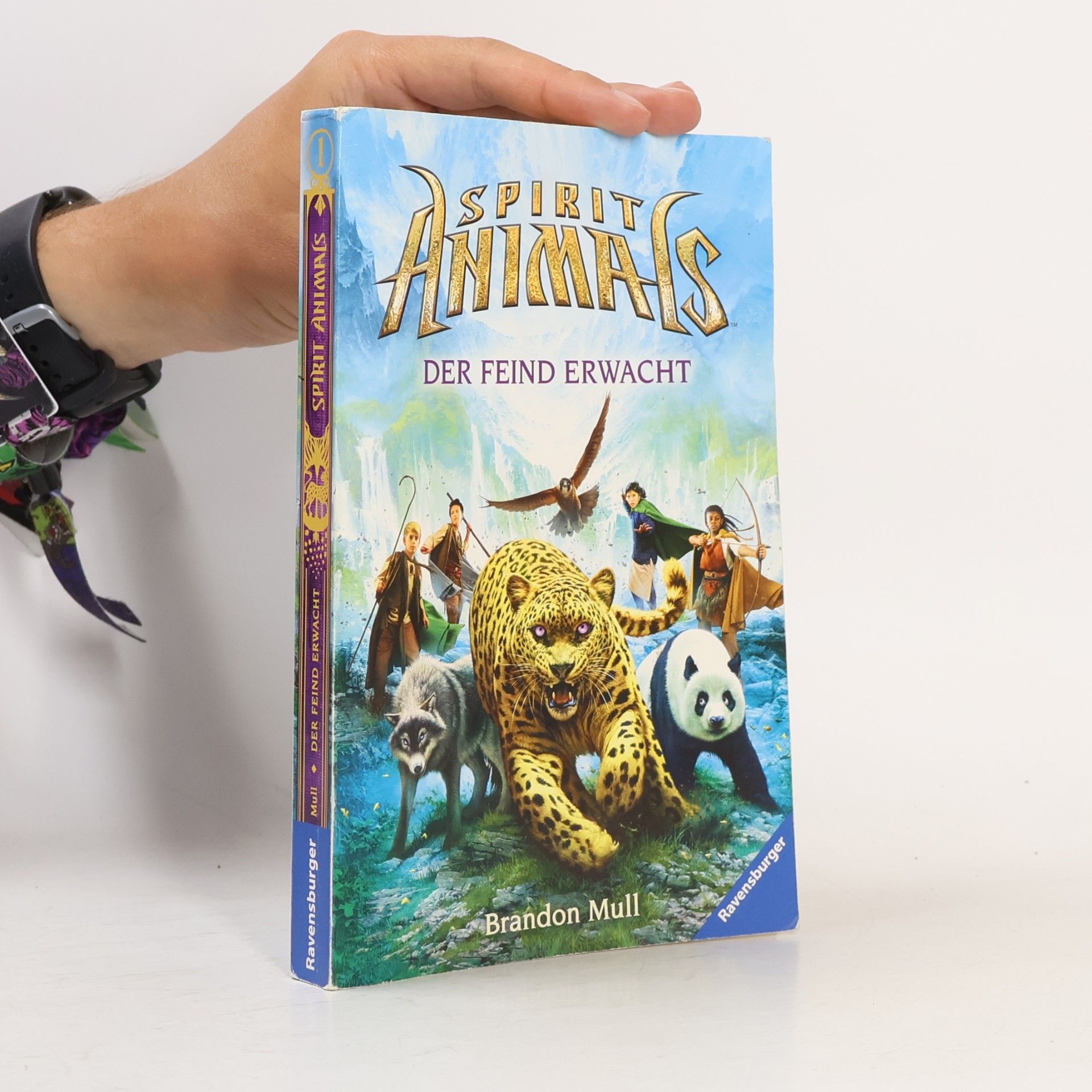Brandon Mull Spirit Animals 1
