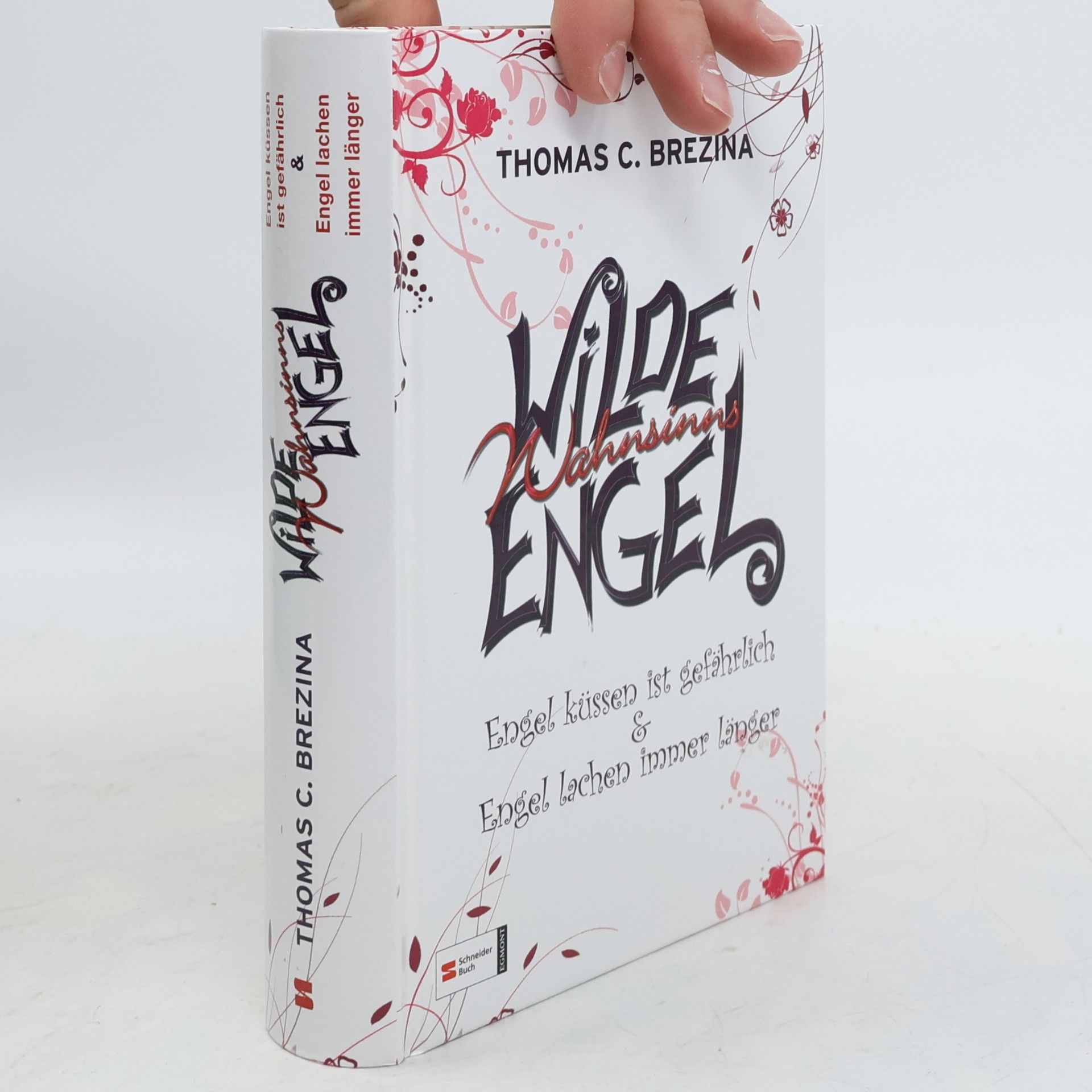 Thomas Brezina Wilde Wahnsinnsengel
