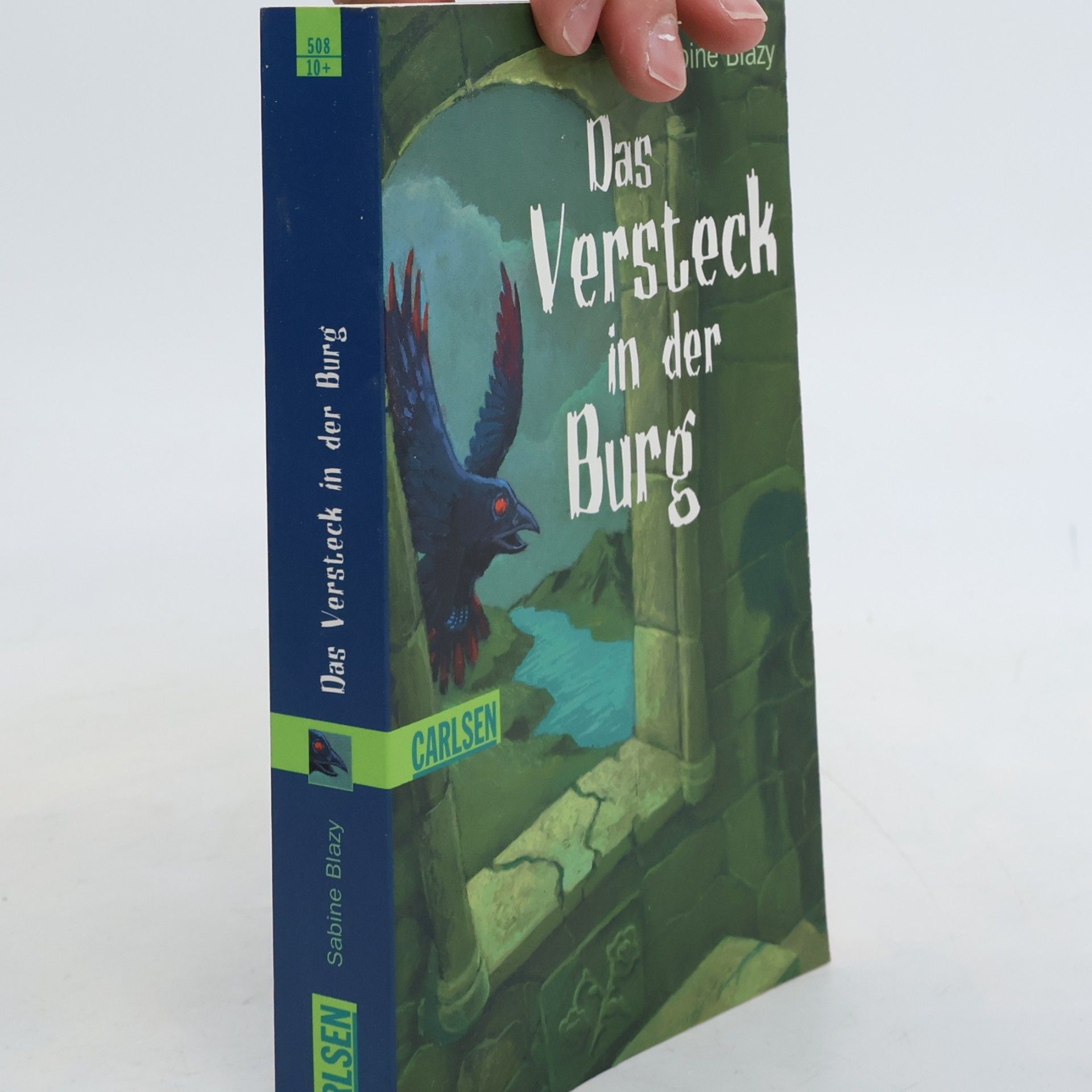 Sabine Blazy Das Versteck in der Burg
