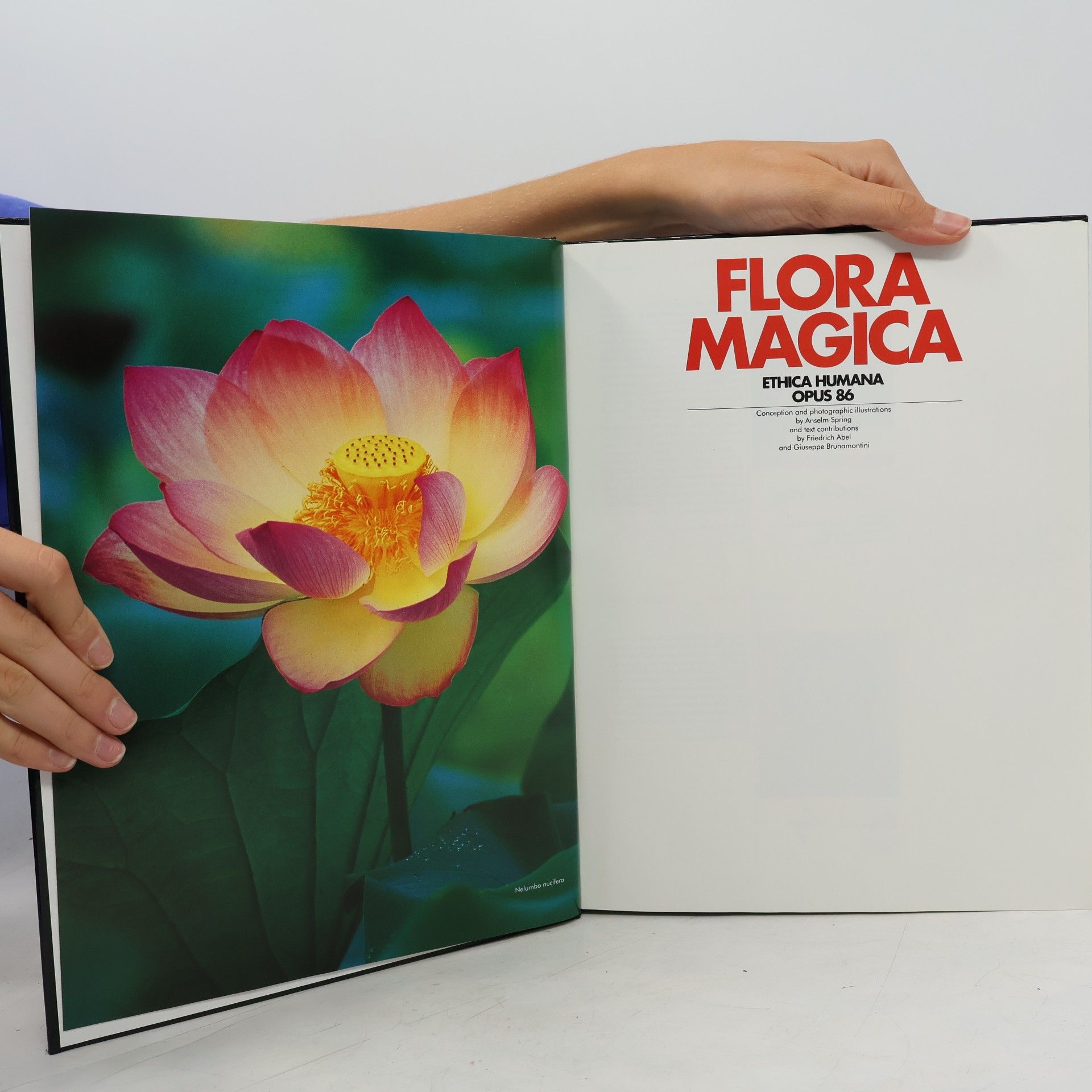 Kolektiv autorů Flora Magica