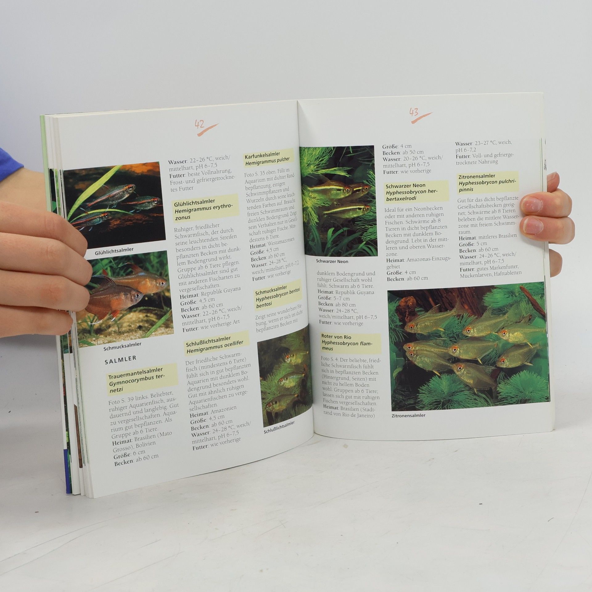 Hans-Peter Beck-Bornholdt Aquarium-Grundkurs