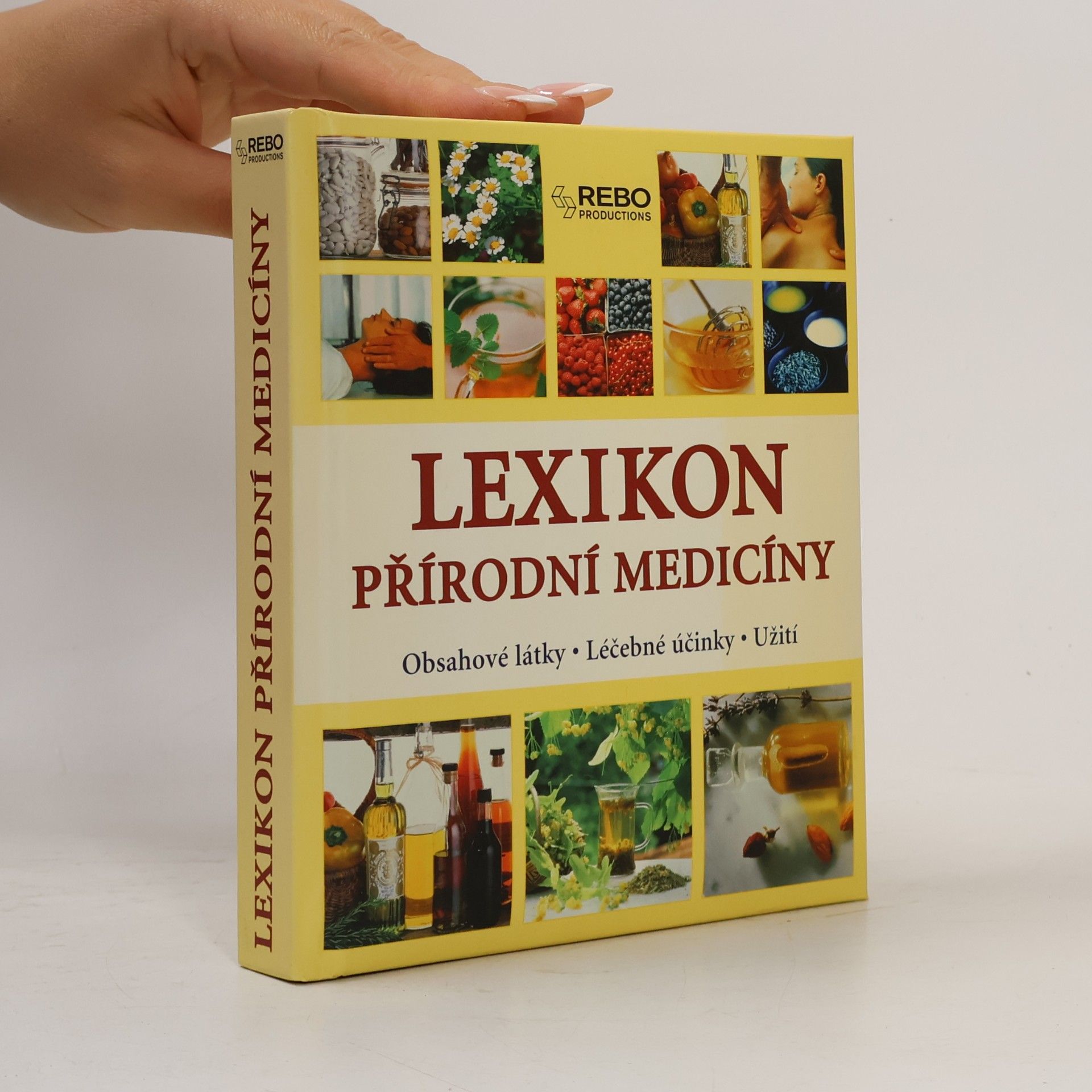 Anne Iburg Lexikon přírodní medicíny