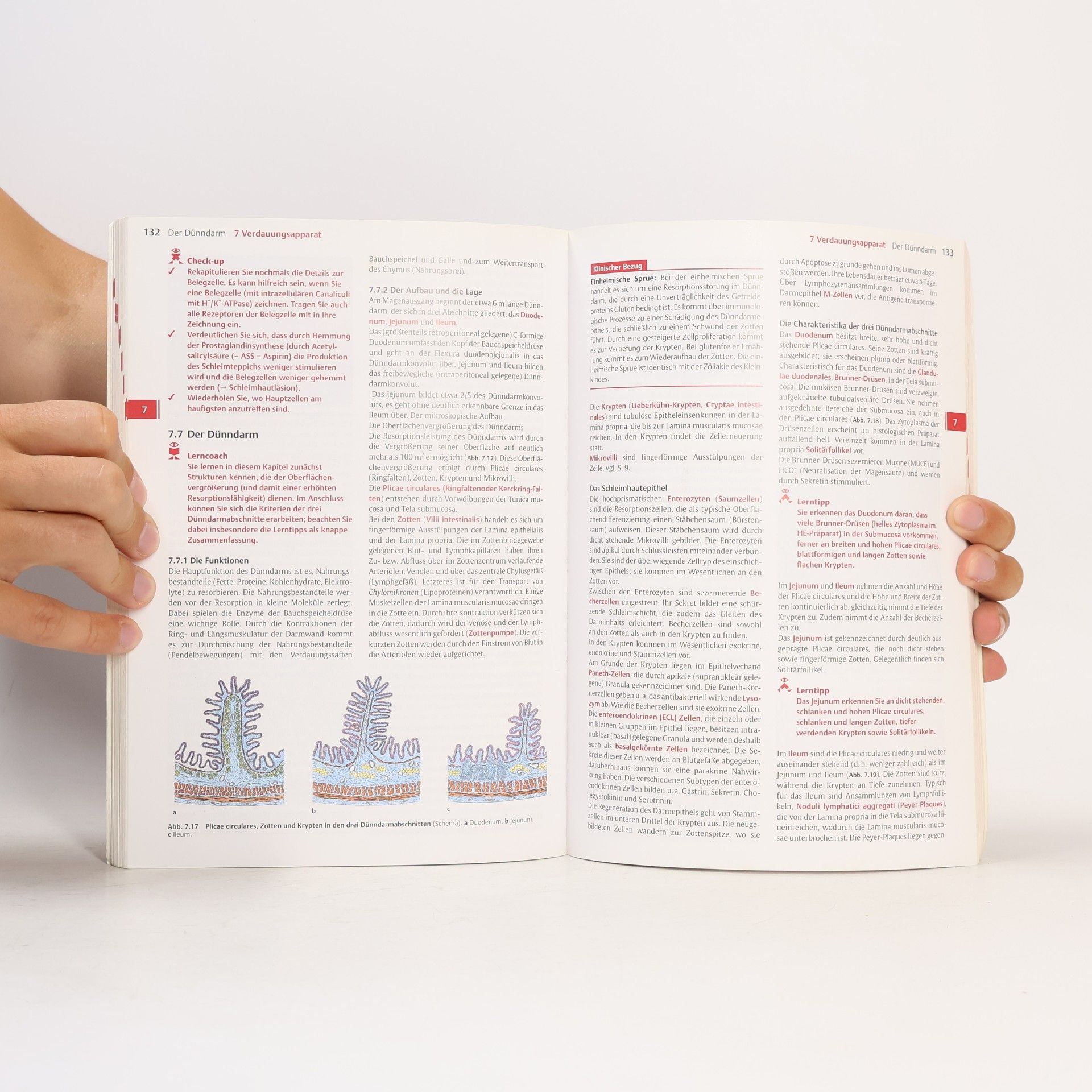 Norbert Ulfig Kurzlehrbuch Histologie