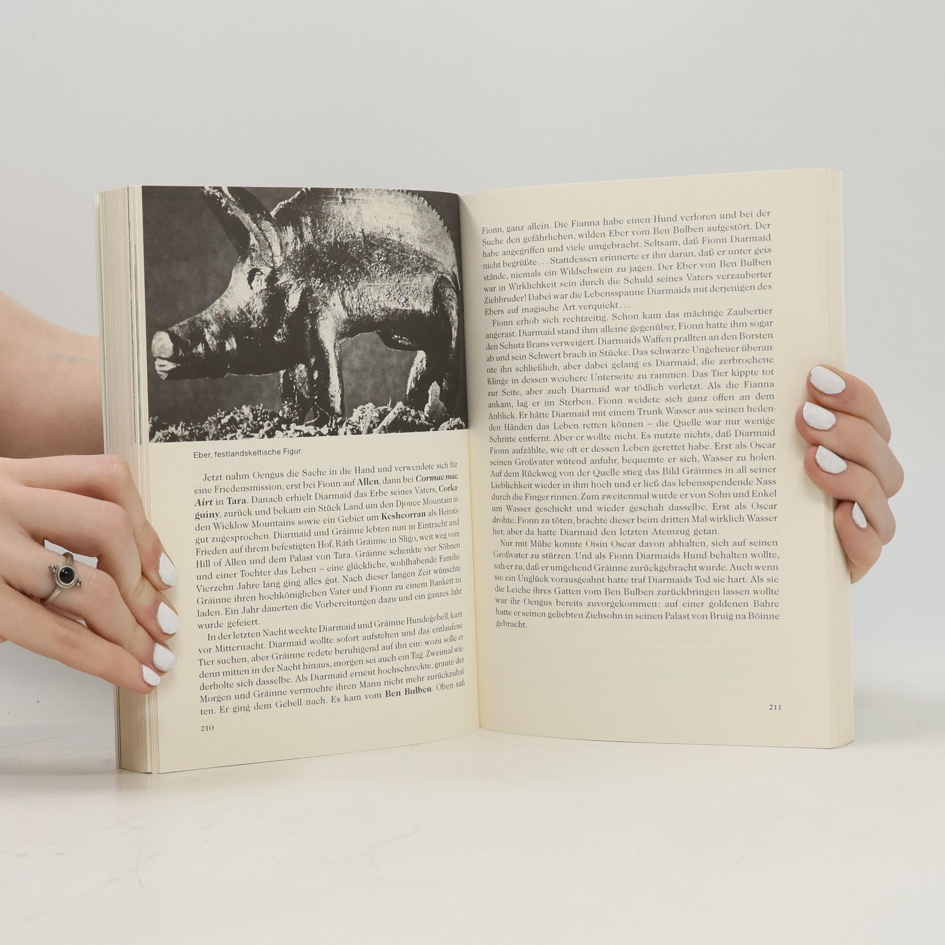 Sylvia Botheroyd Irland - Mythologie in der Landschaft
