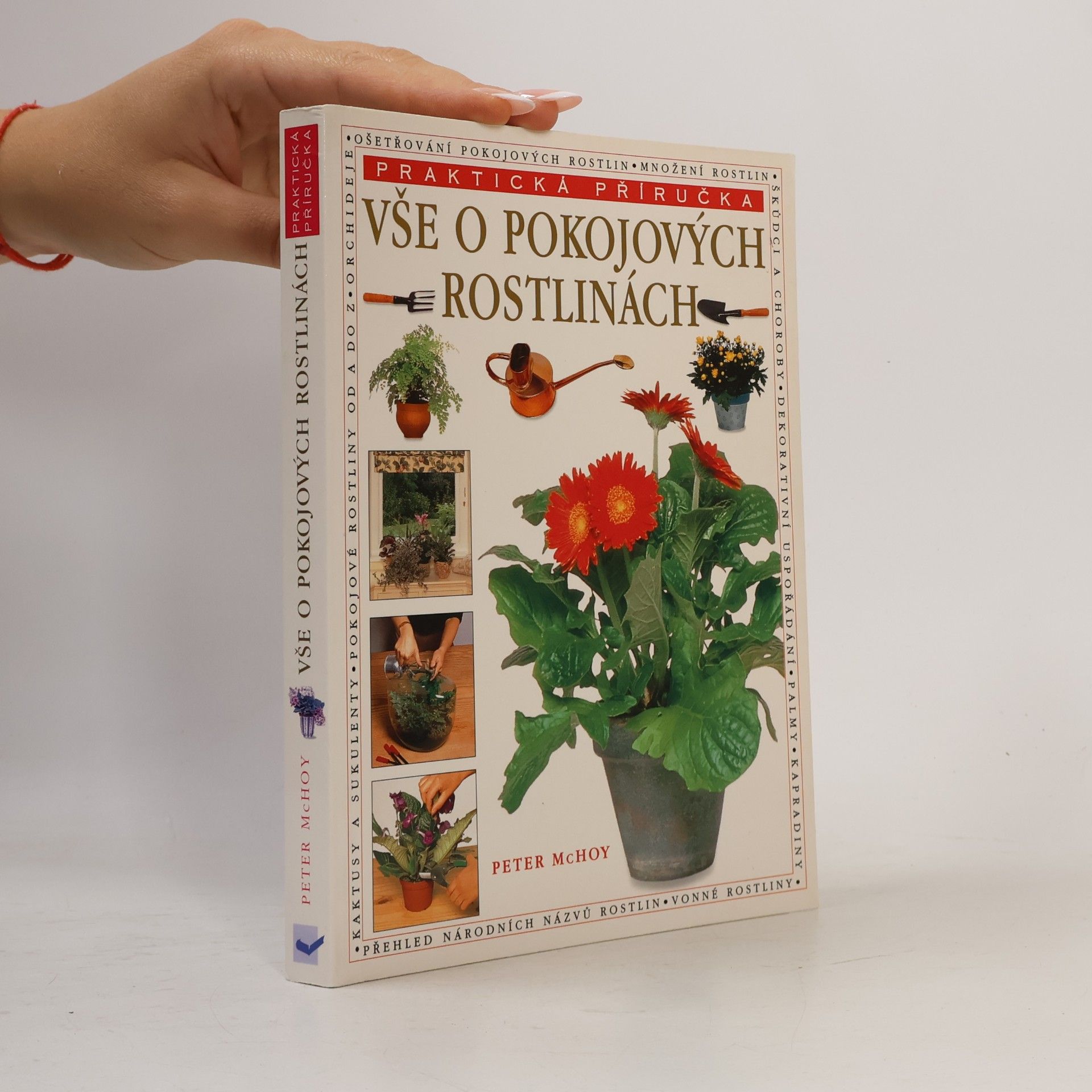 Vše o pokojových rostlinách