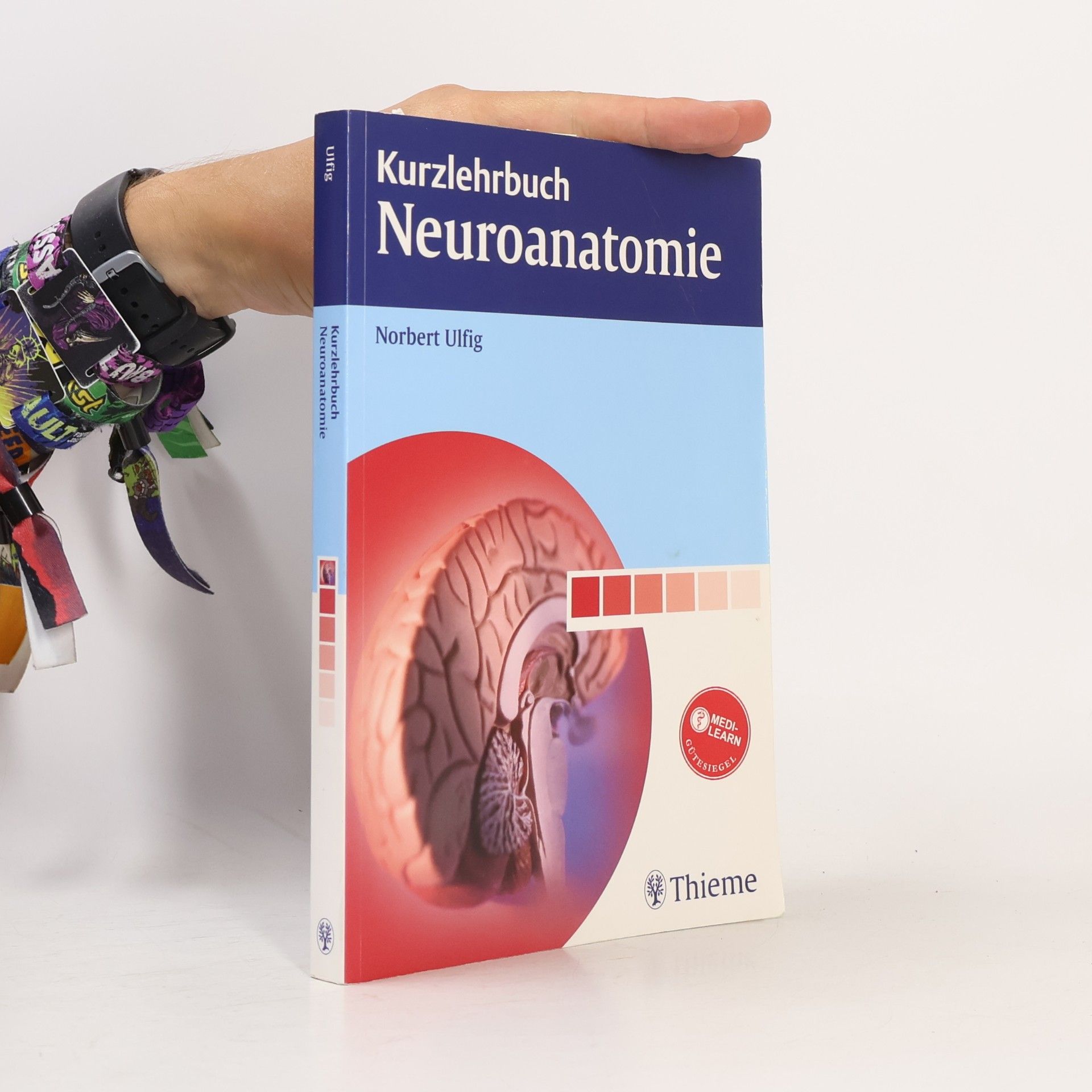 Norbert Ulfig Kurzlehrbuch Neuroanatomie