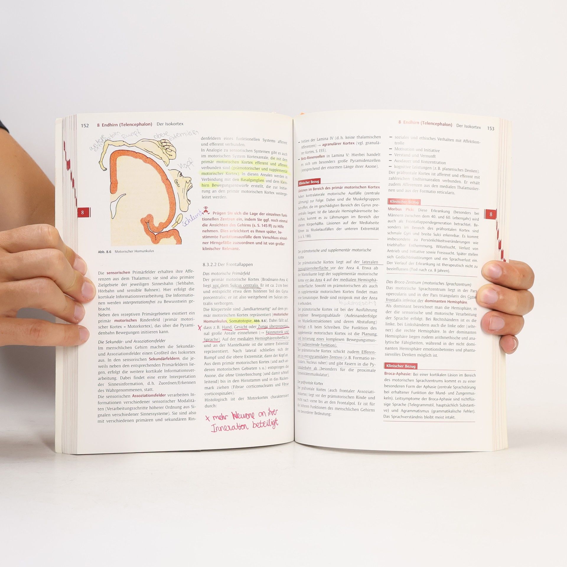 Norbert Ulfig Kurzlehrbuch Neuroanatomie