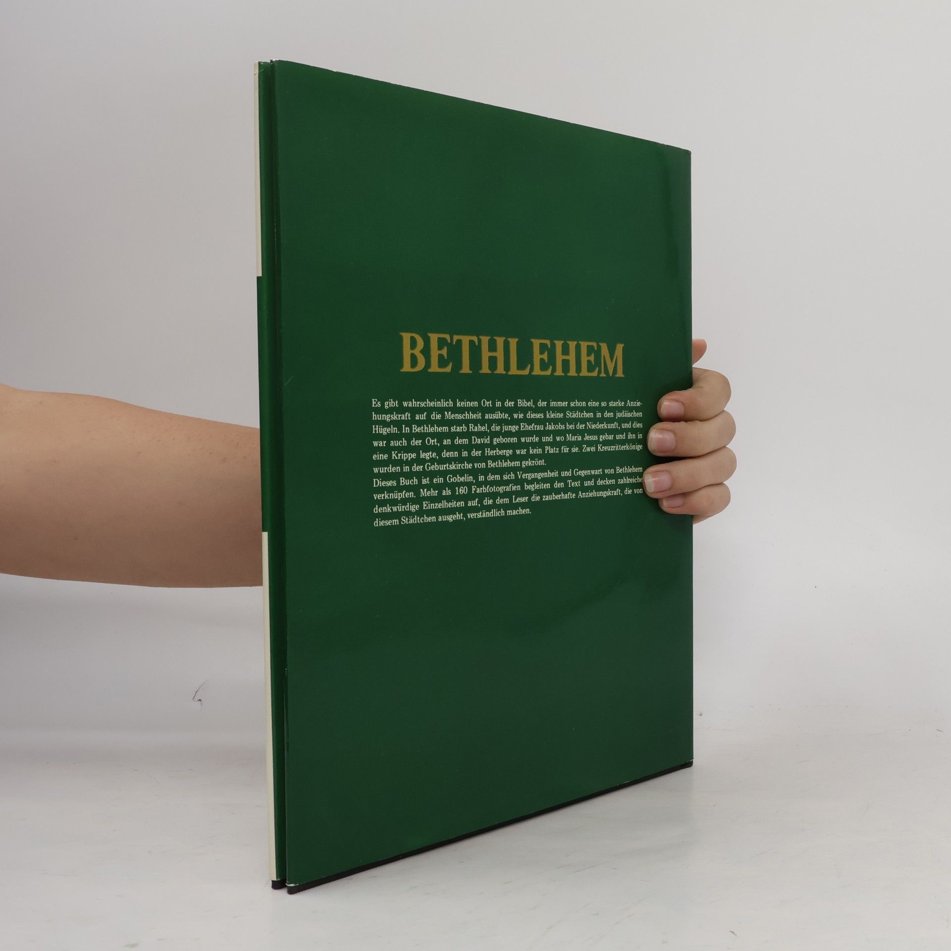 Bargil Pixner Bethlehem, du schöne ...