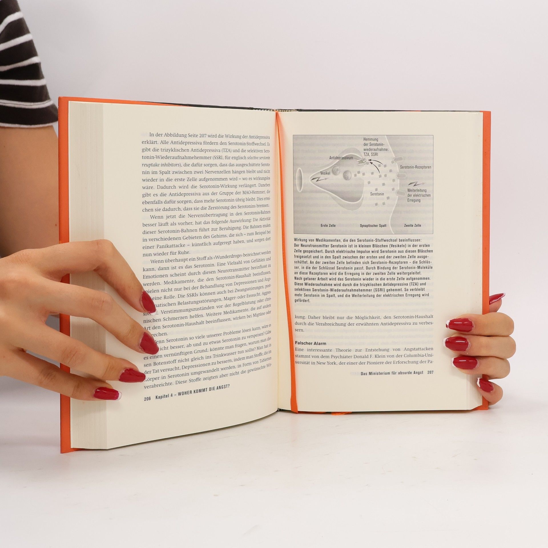 Borwin Bandelow Das Angstbuch