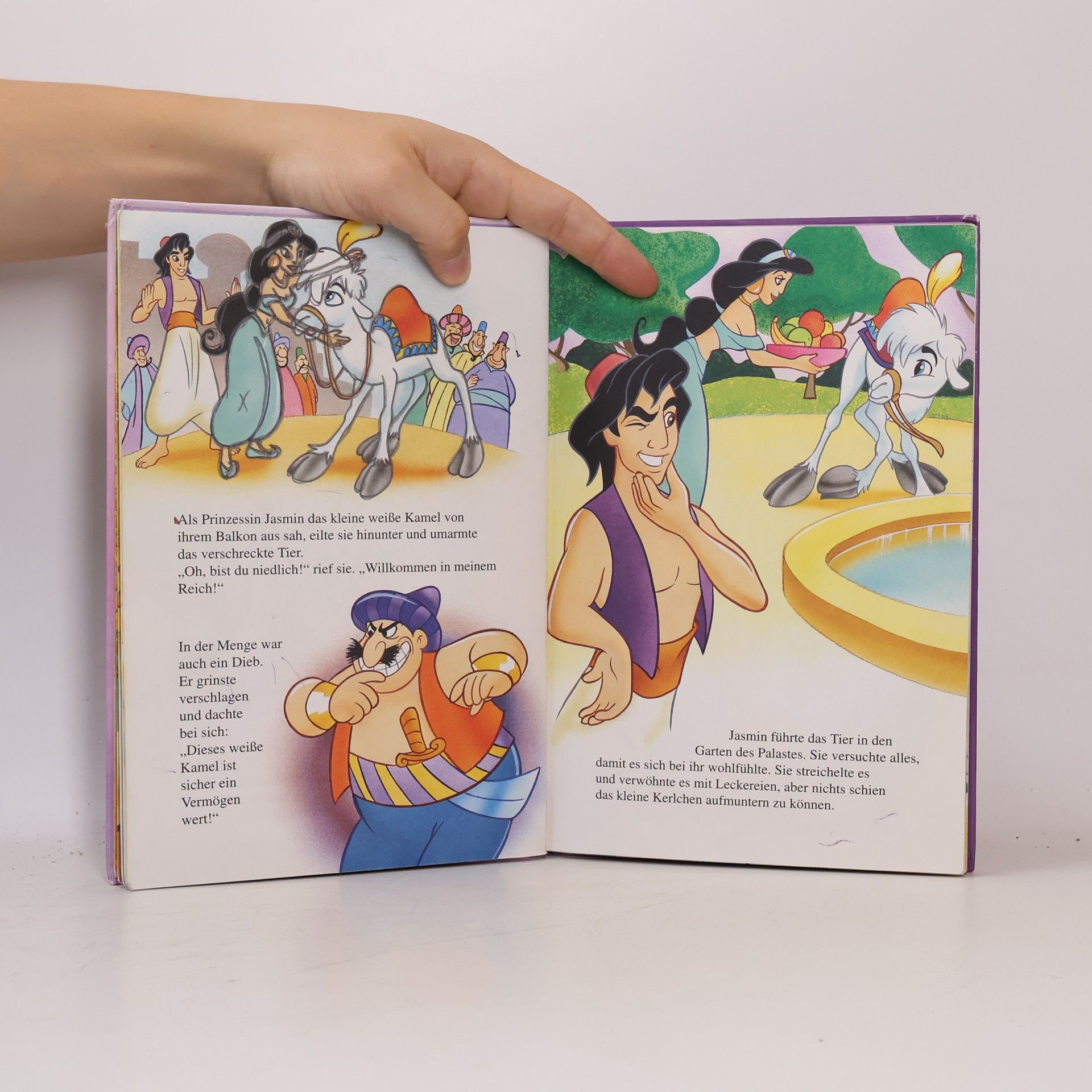 Autorenkollektiv Aladdin und das kleine wiße Kamel