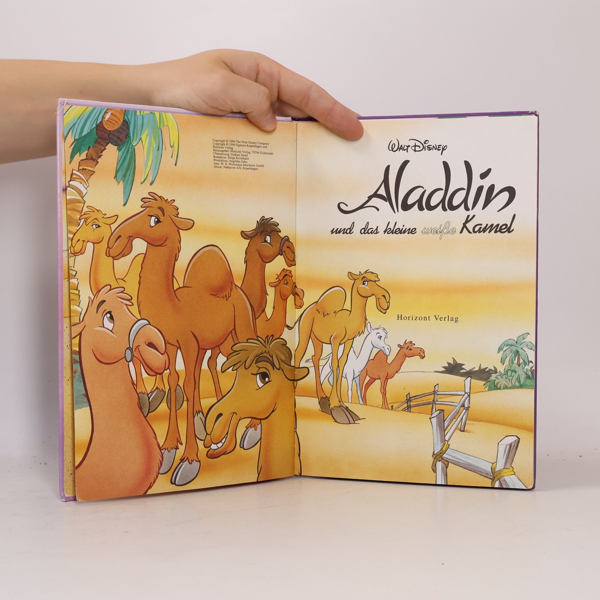 Autorenkollektiv Aladdin und das kleine wiße Kamel