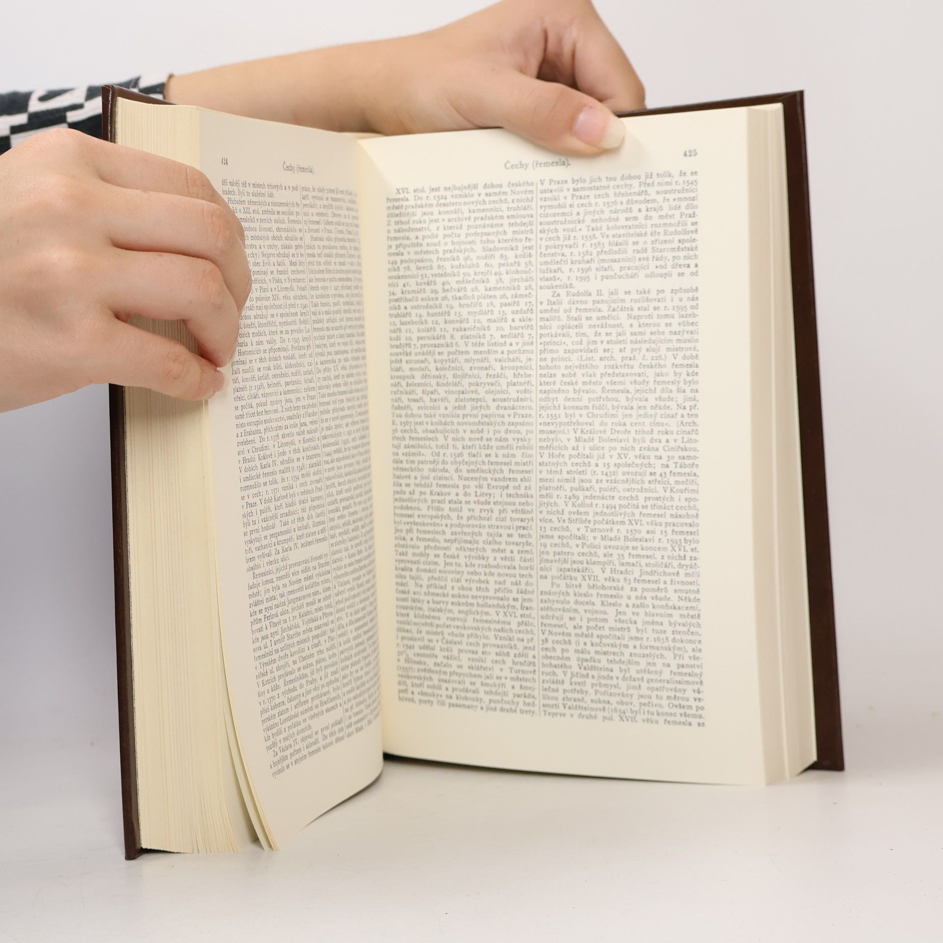 Various authors Ottův slovník naučný VI. Čechy-Danseur
