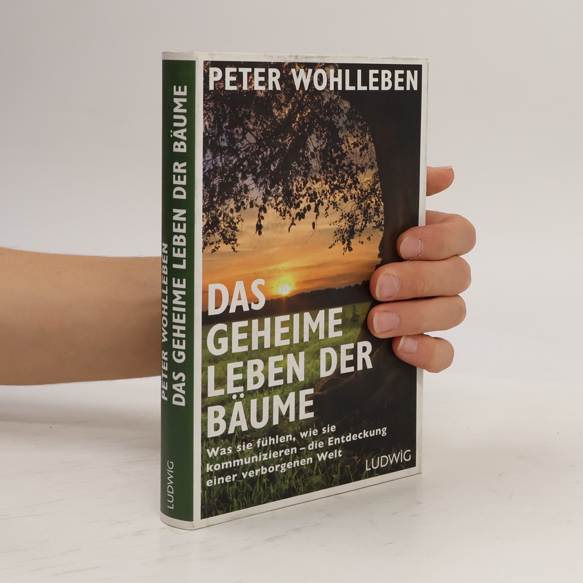 Das geheime Leben der Bäume