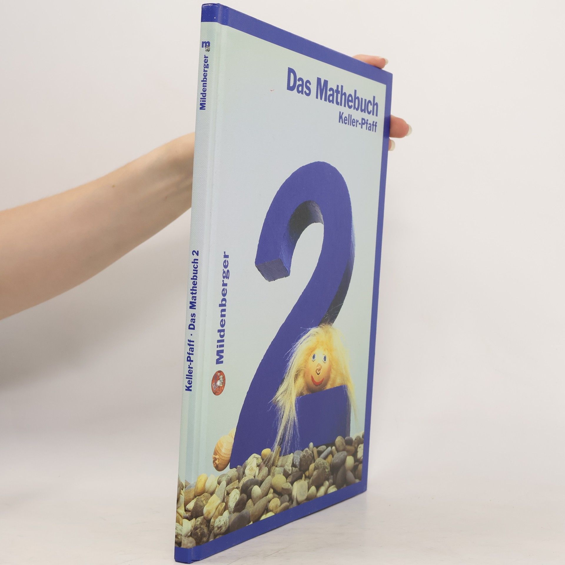 Peter Pfaff Das Mathebuch