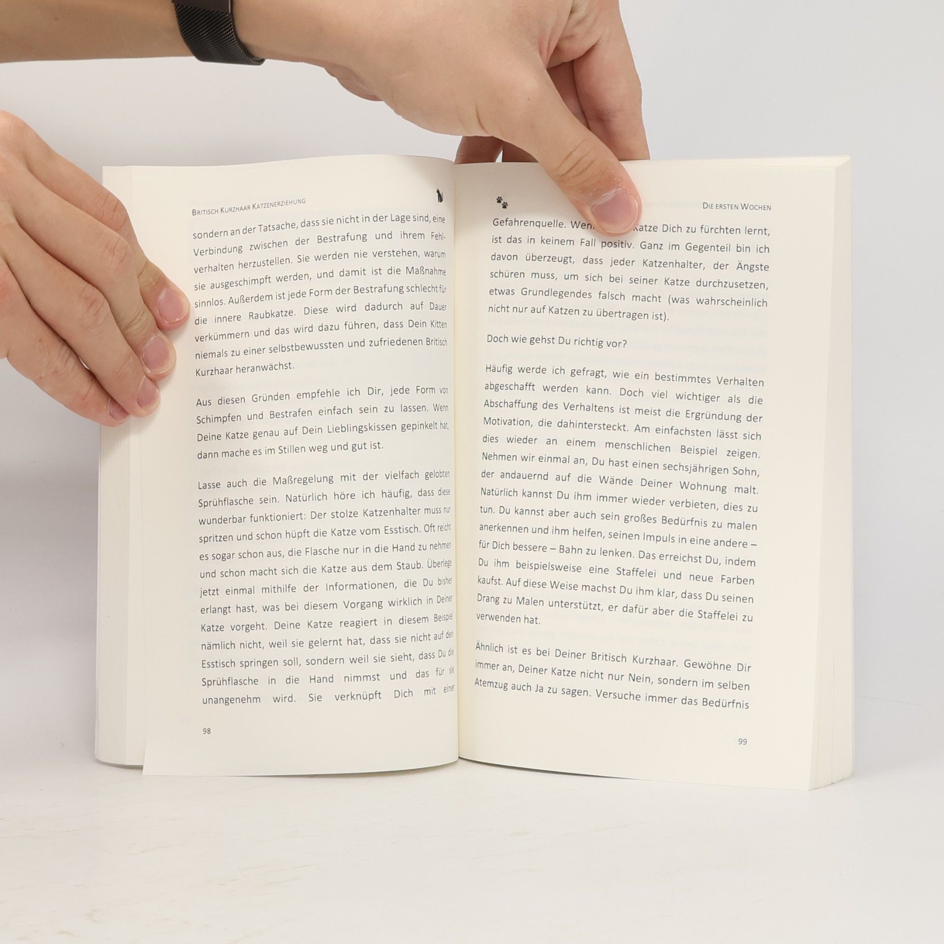Susanne Herzog Britisch Kurzhaar Katzenerziehung - Ratgeber zur Erziehung einer Katze der Britisch Kurzhaar Rasse