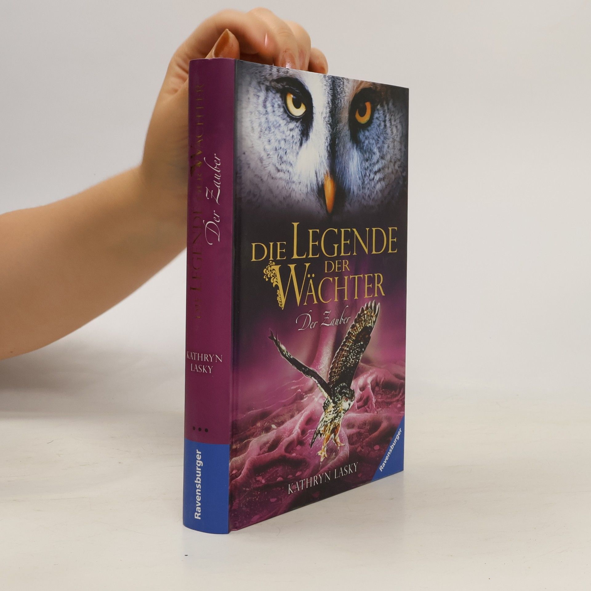 Die Legende der Wächter 12. Der Zauber