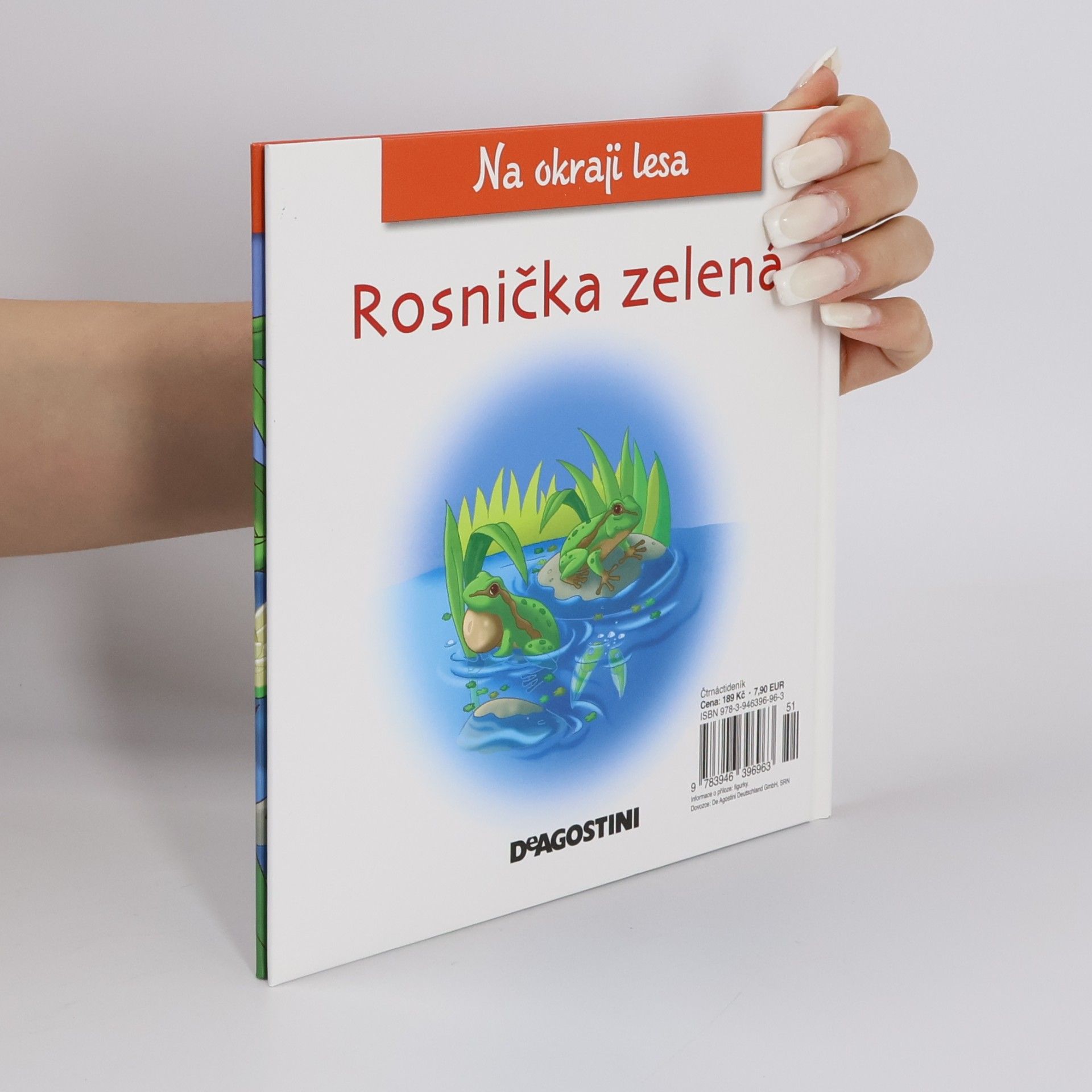 Kolektiv autorů Na okraji lesa 35. Rosnička zelená