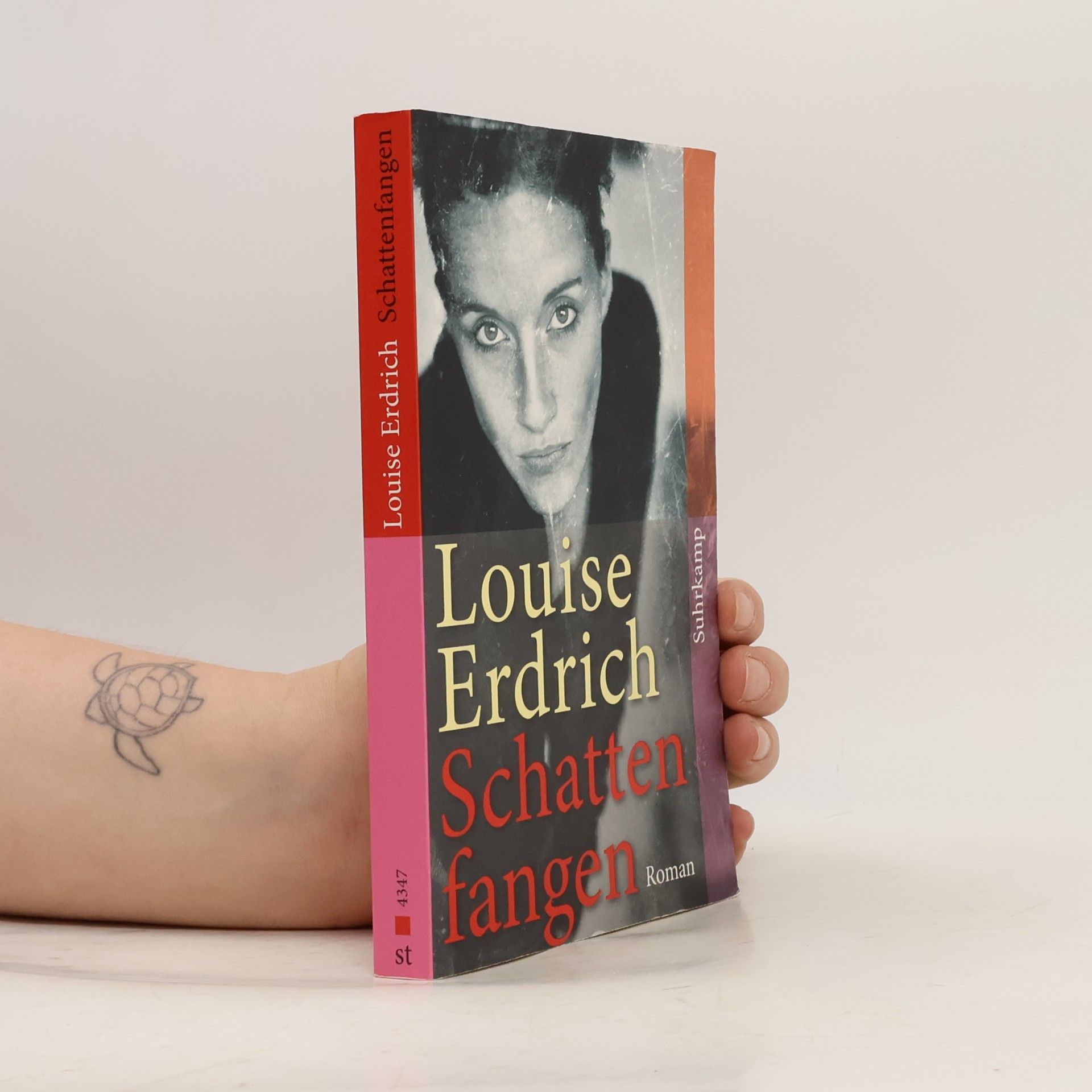 Louise Erdrich Schattenfangen