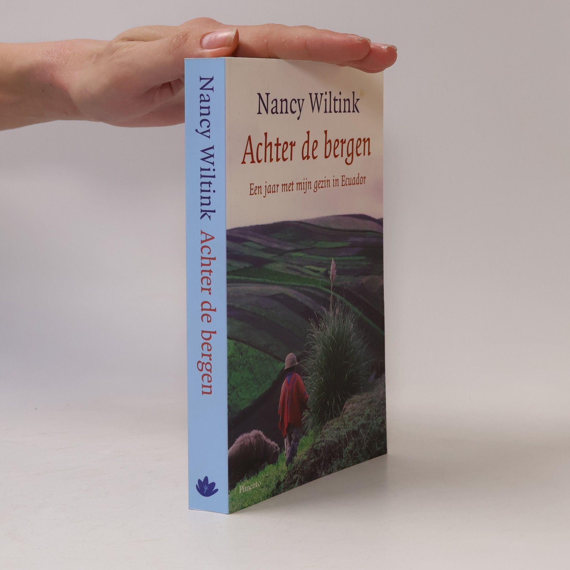 Nancy Wiltink Achter de bergen