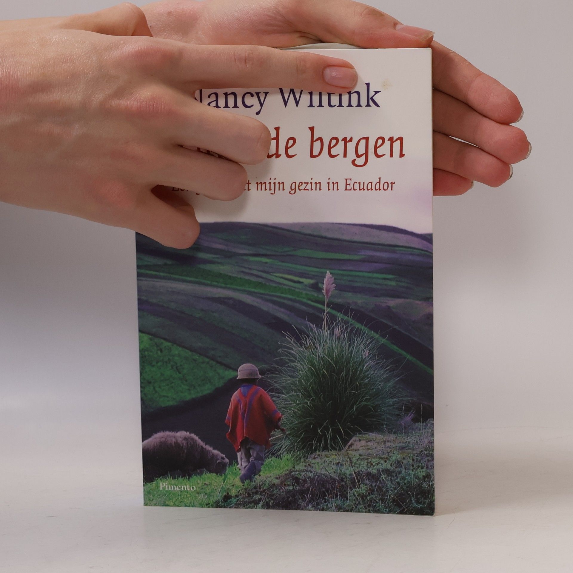 Nancy Wiltink Achter de bergen