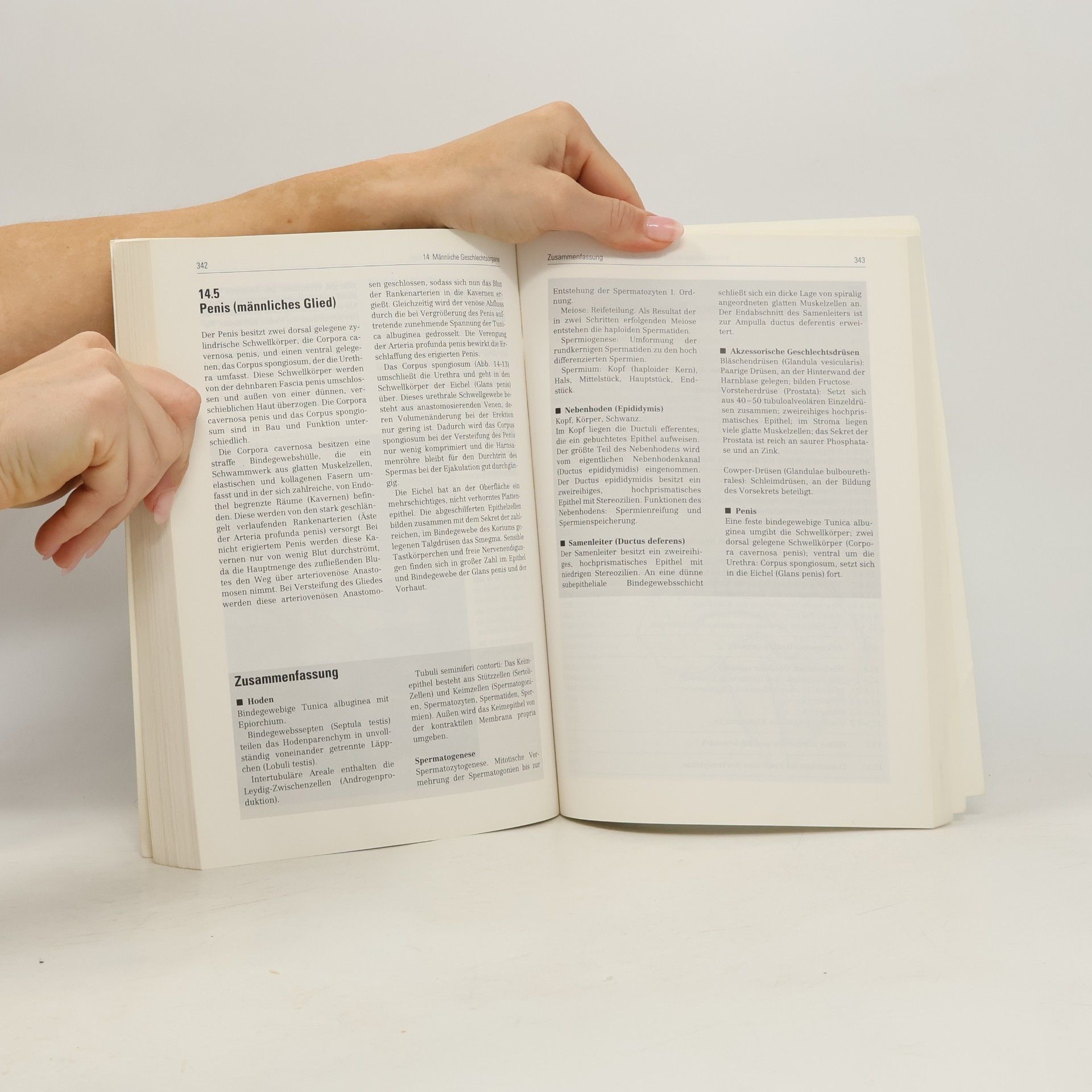 Herbert Hees Histologie