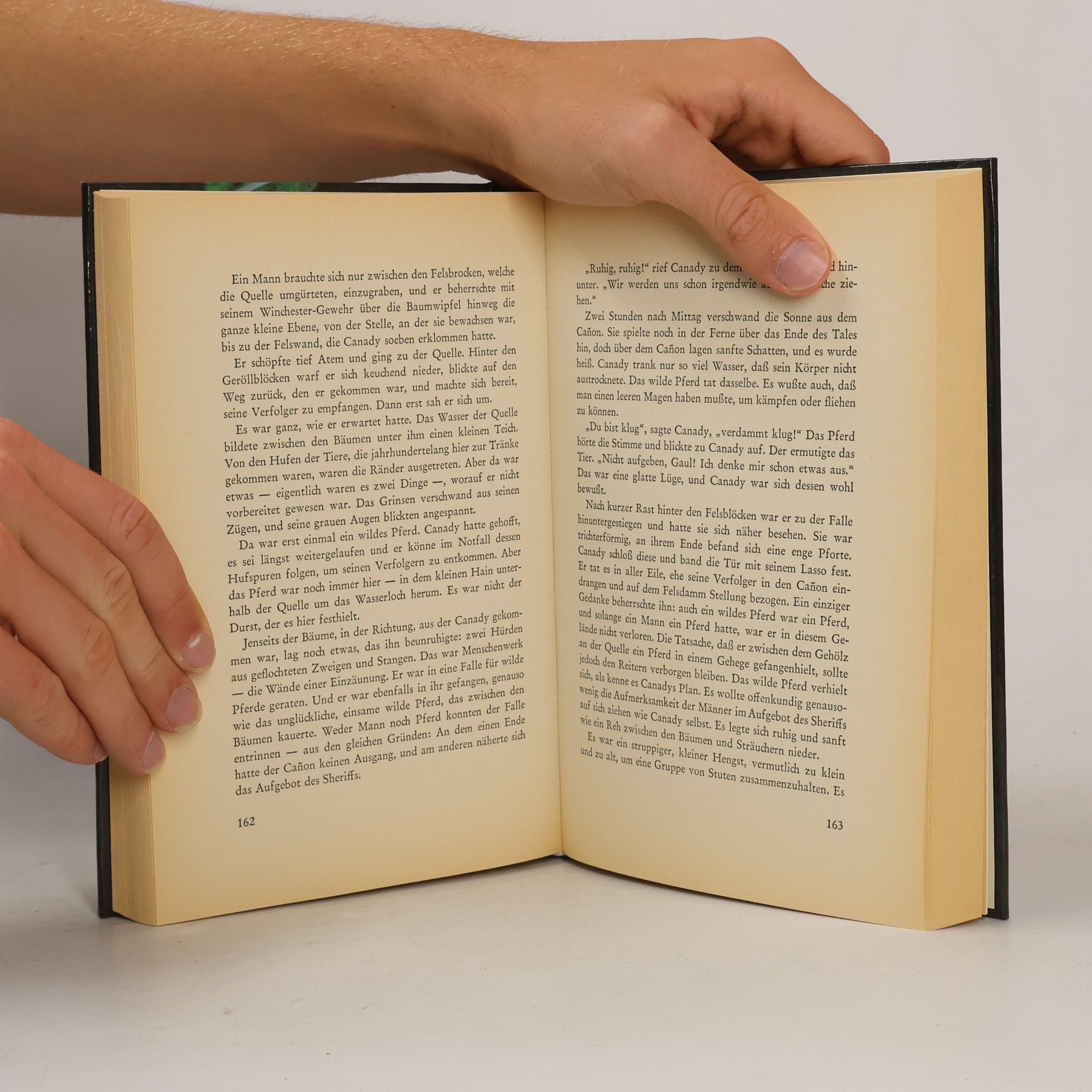Henri Charpentier Das grosse Buch der Gespenster
