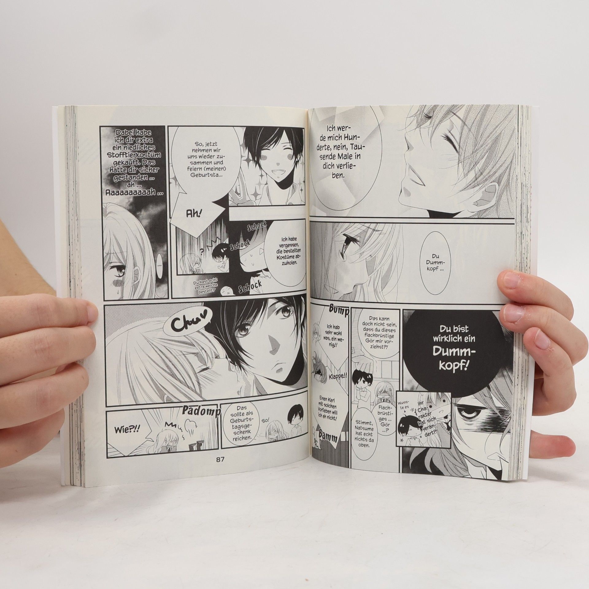 Hiro Aikawa Mikamis Liebensweise 1