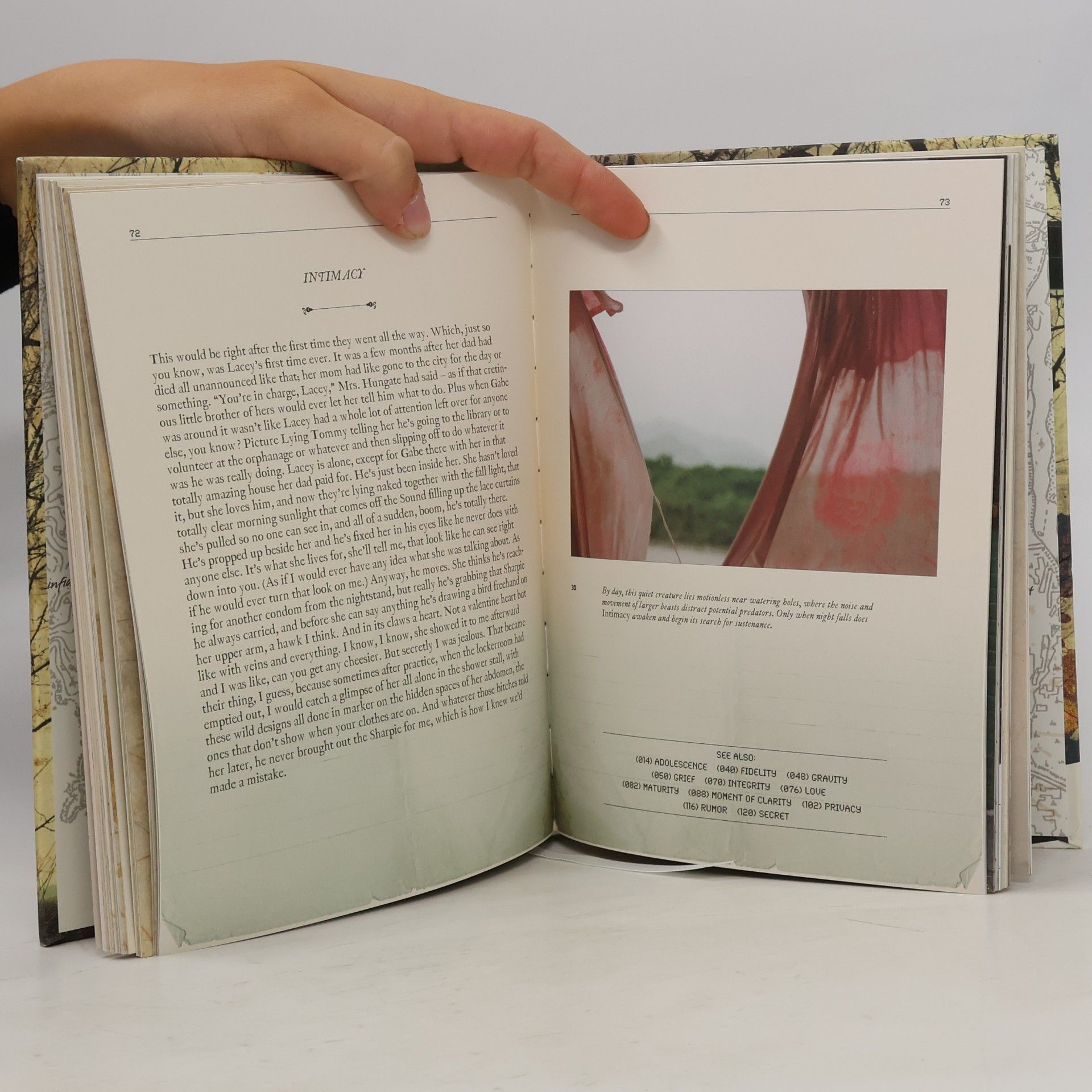 Garth Risk Hallberg A Field Guide to the North American Family
