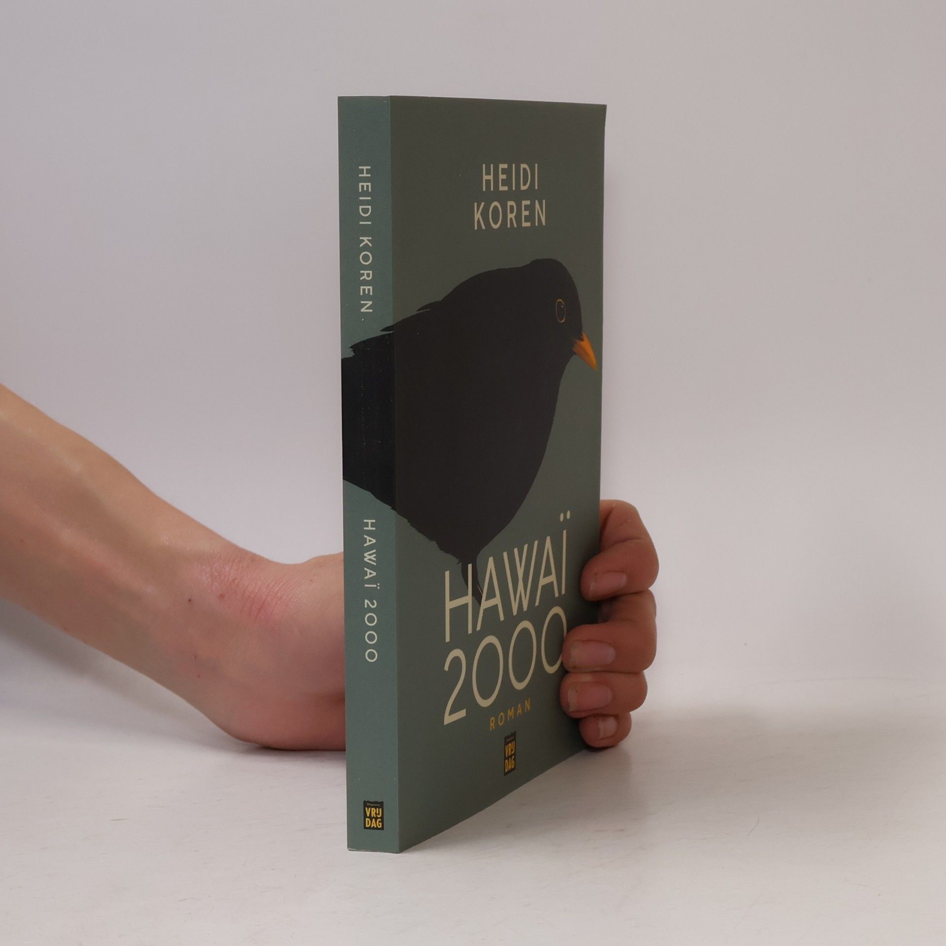 Heidi Koren Hawaï 2000