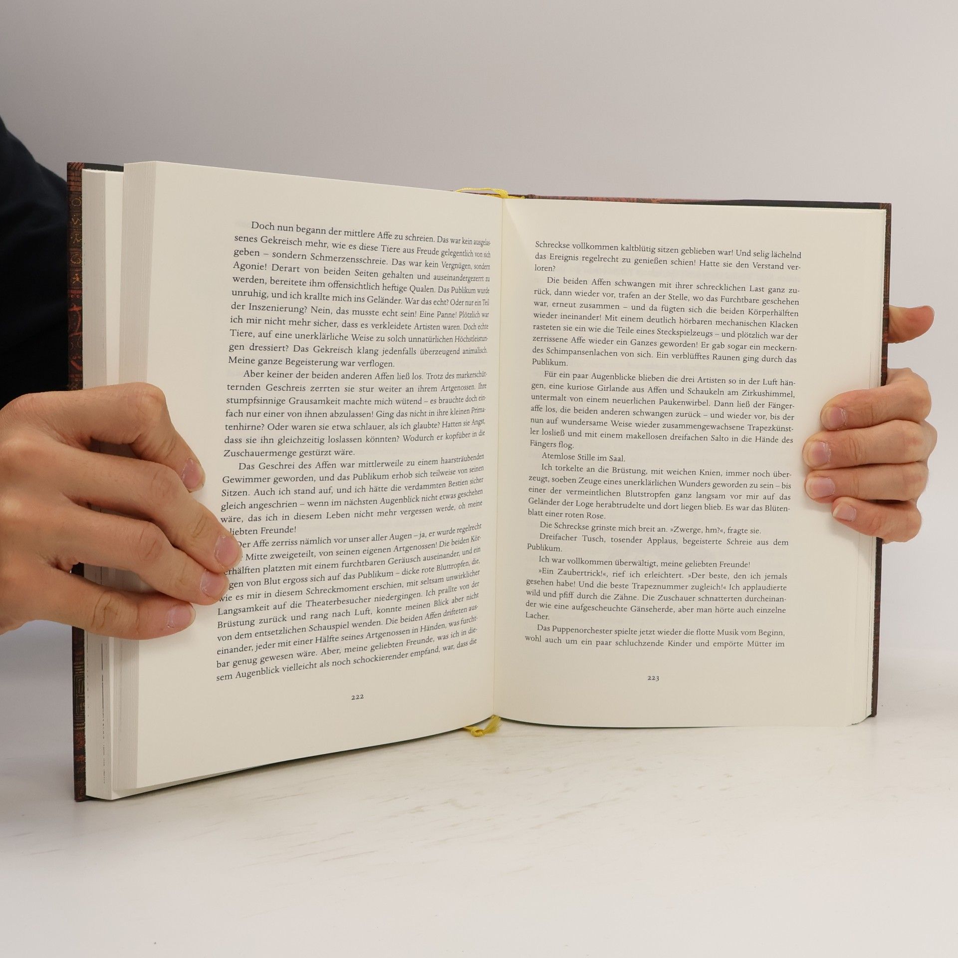Walter Moers Das Labyrinth der Träumenden Bücher