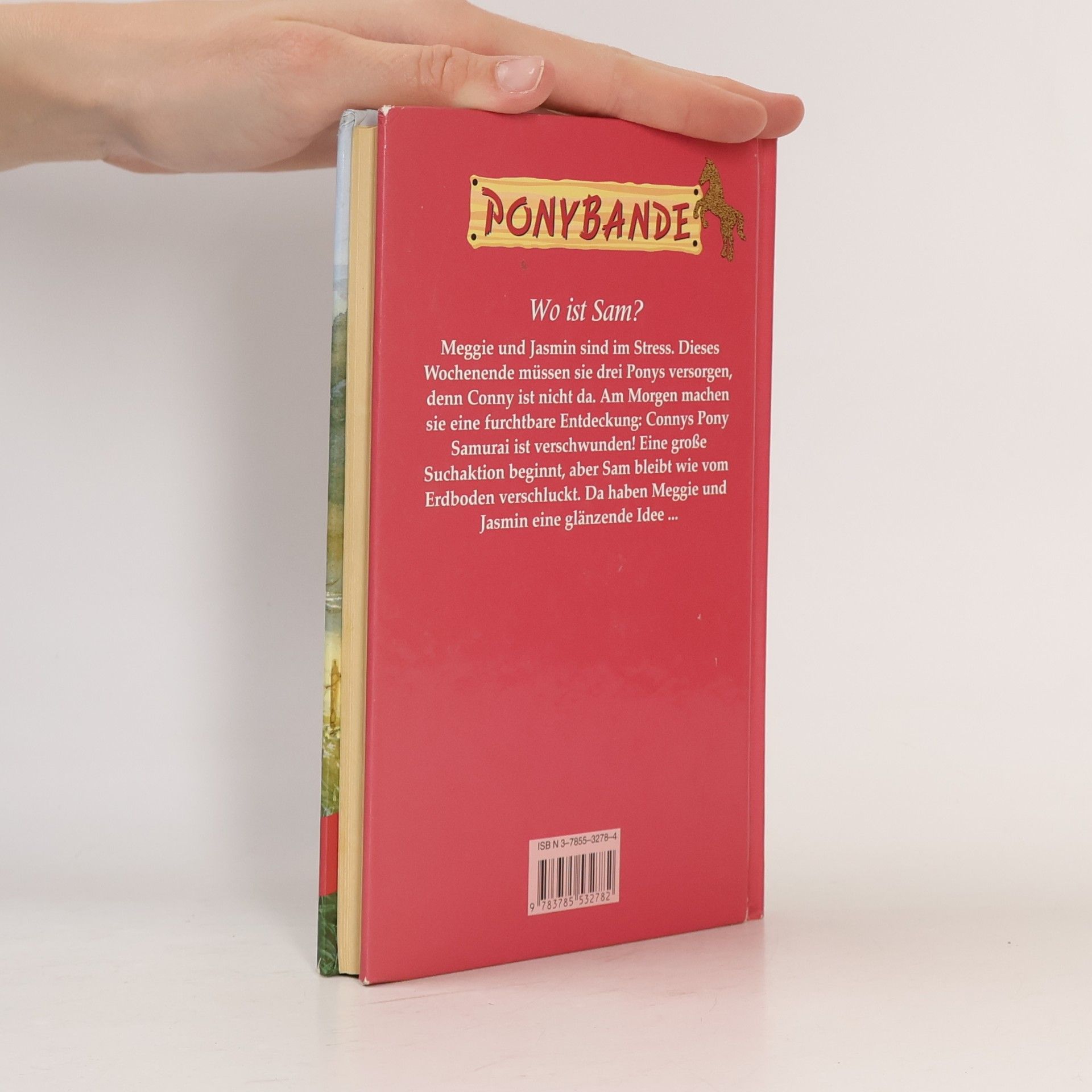 Bonnie Bryant Ponybande: Ein Pony verschwindet