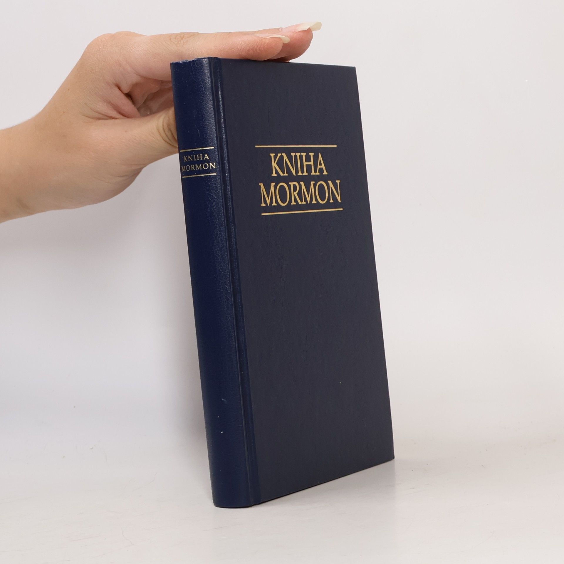Kolektiv autorů Kniha Mormon