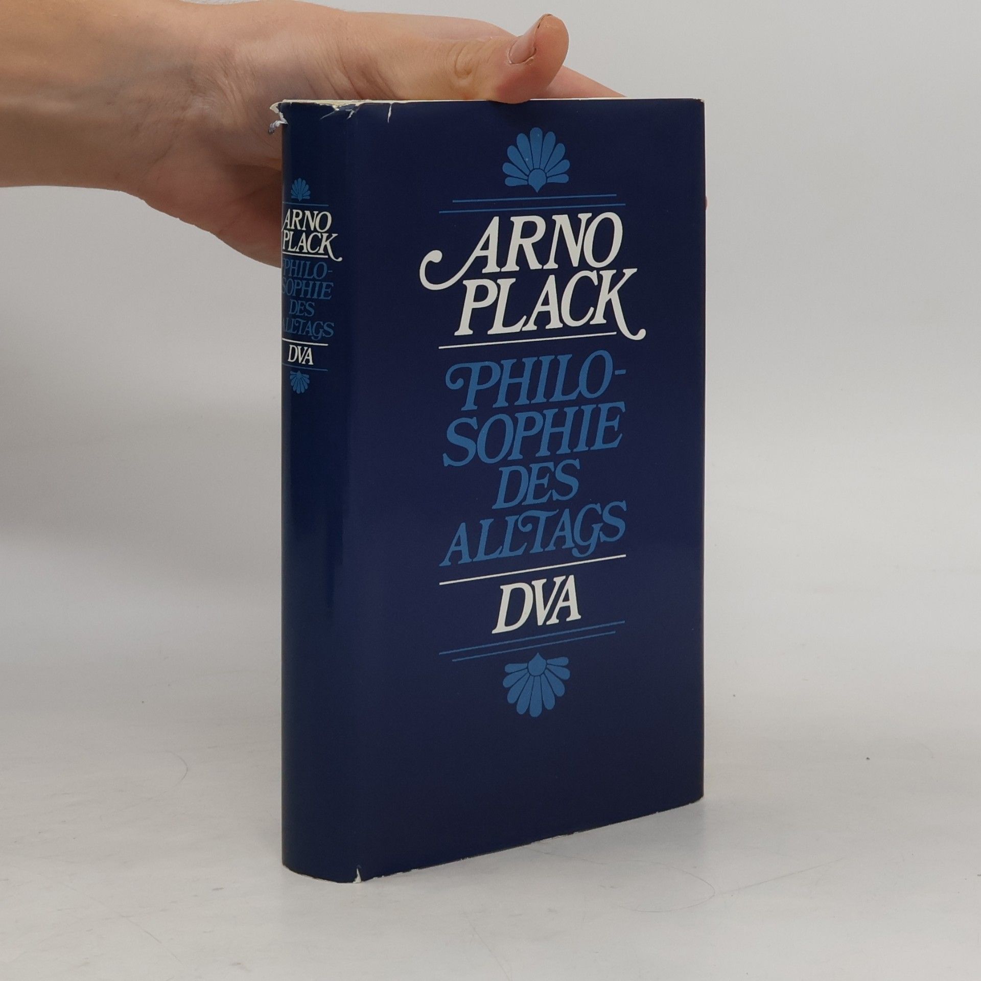 Arno Plack Philosophie des Alltags