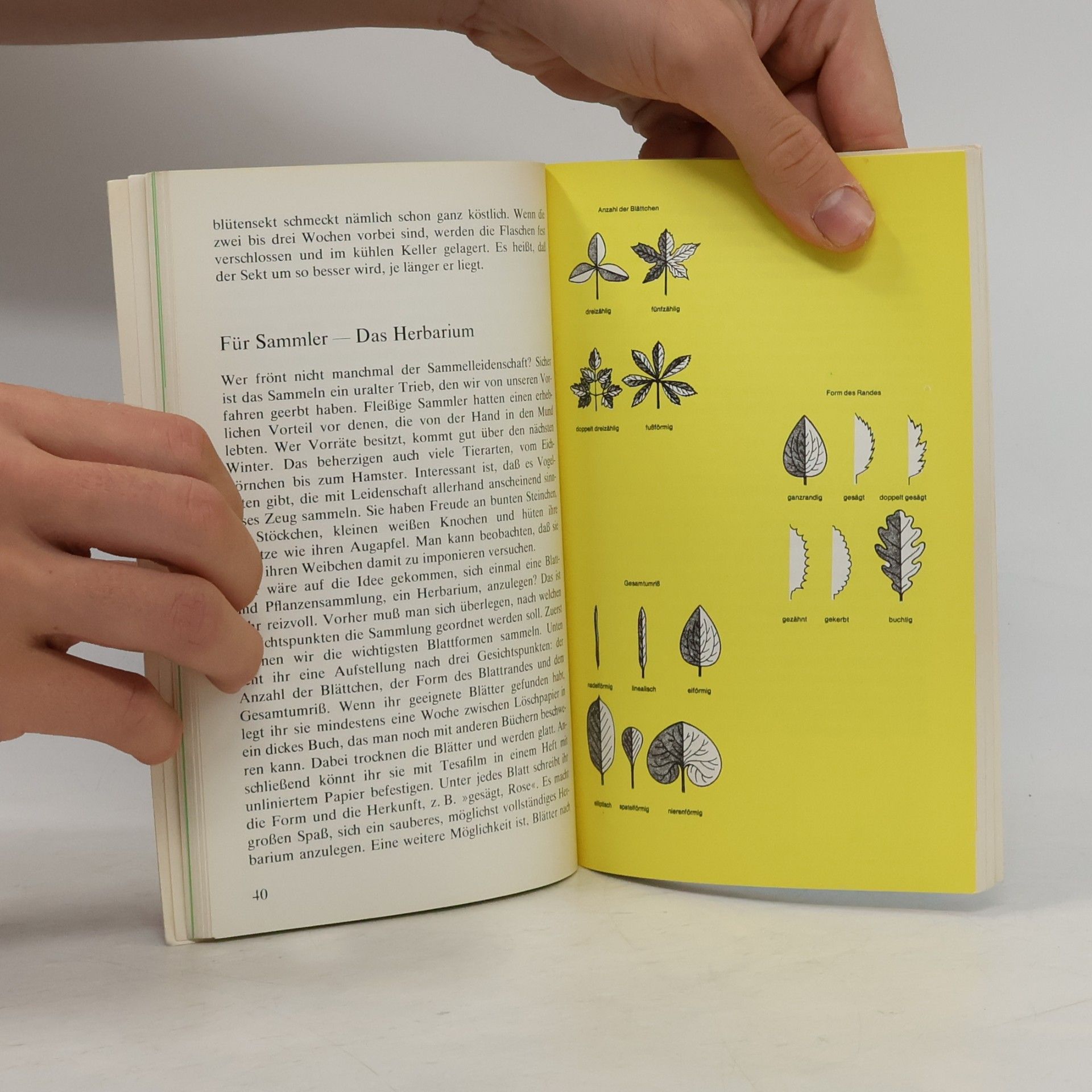 Various authors Mein Spiel-und Experimentierbuch