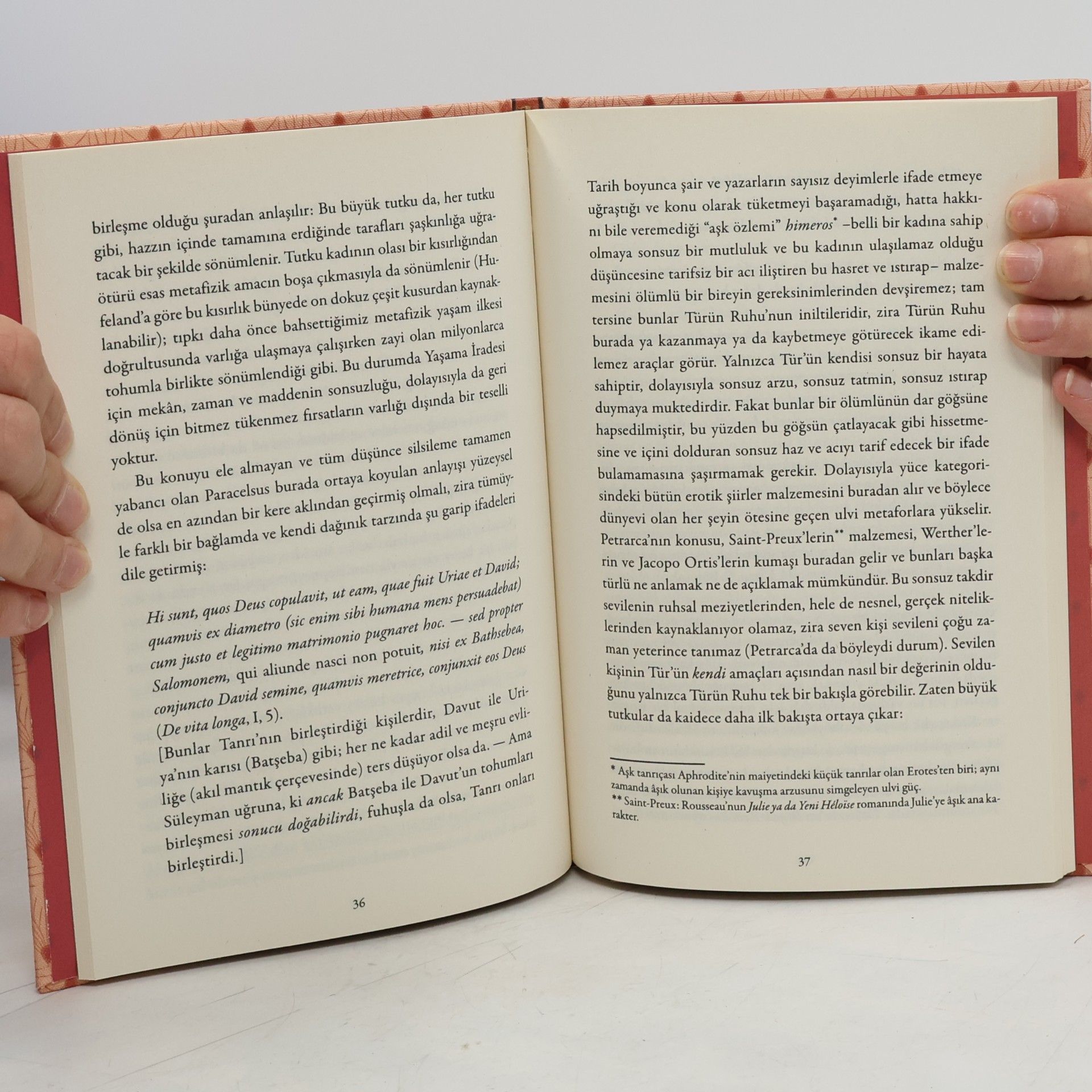 Arthur Schopenhauer Düşünce Klasikleri - 4: Aşkın Metafiziği