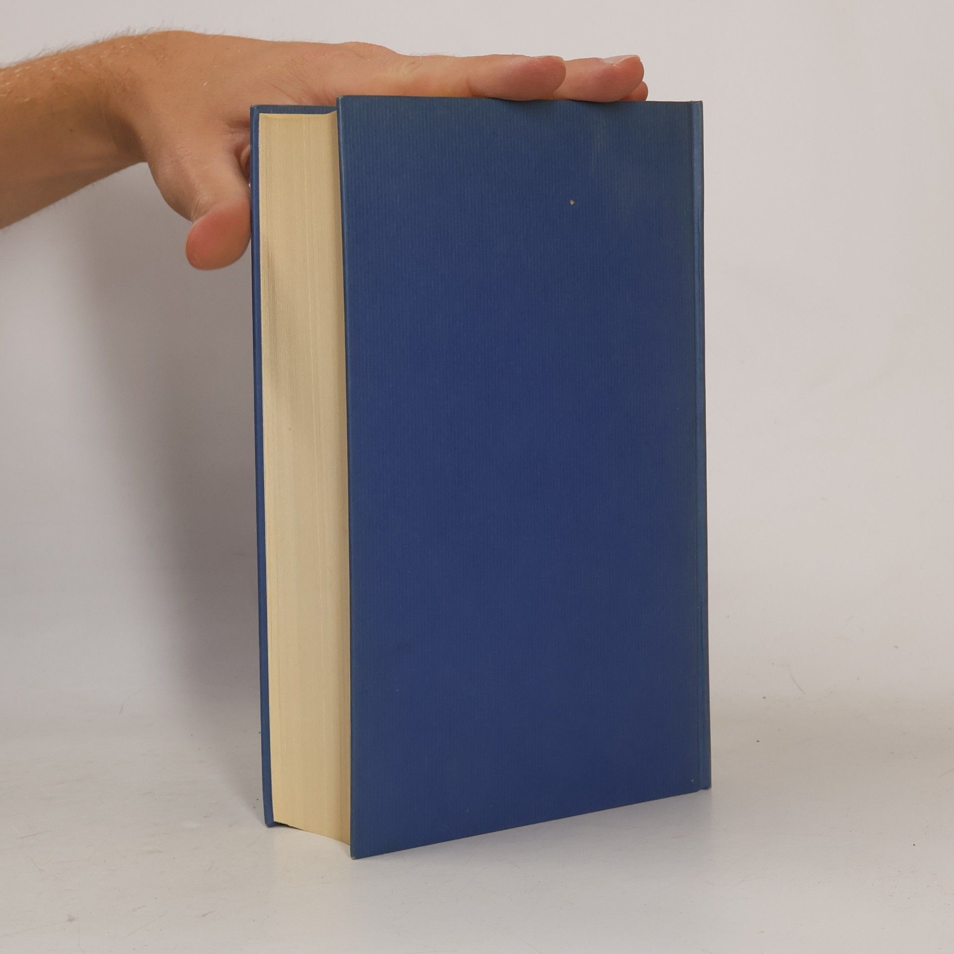 Sally Beauman Die Liebe einer Unbekannten
